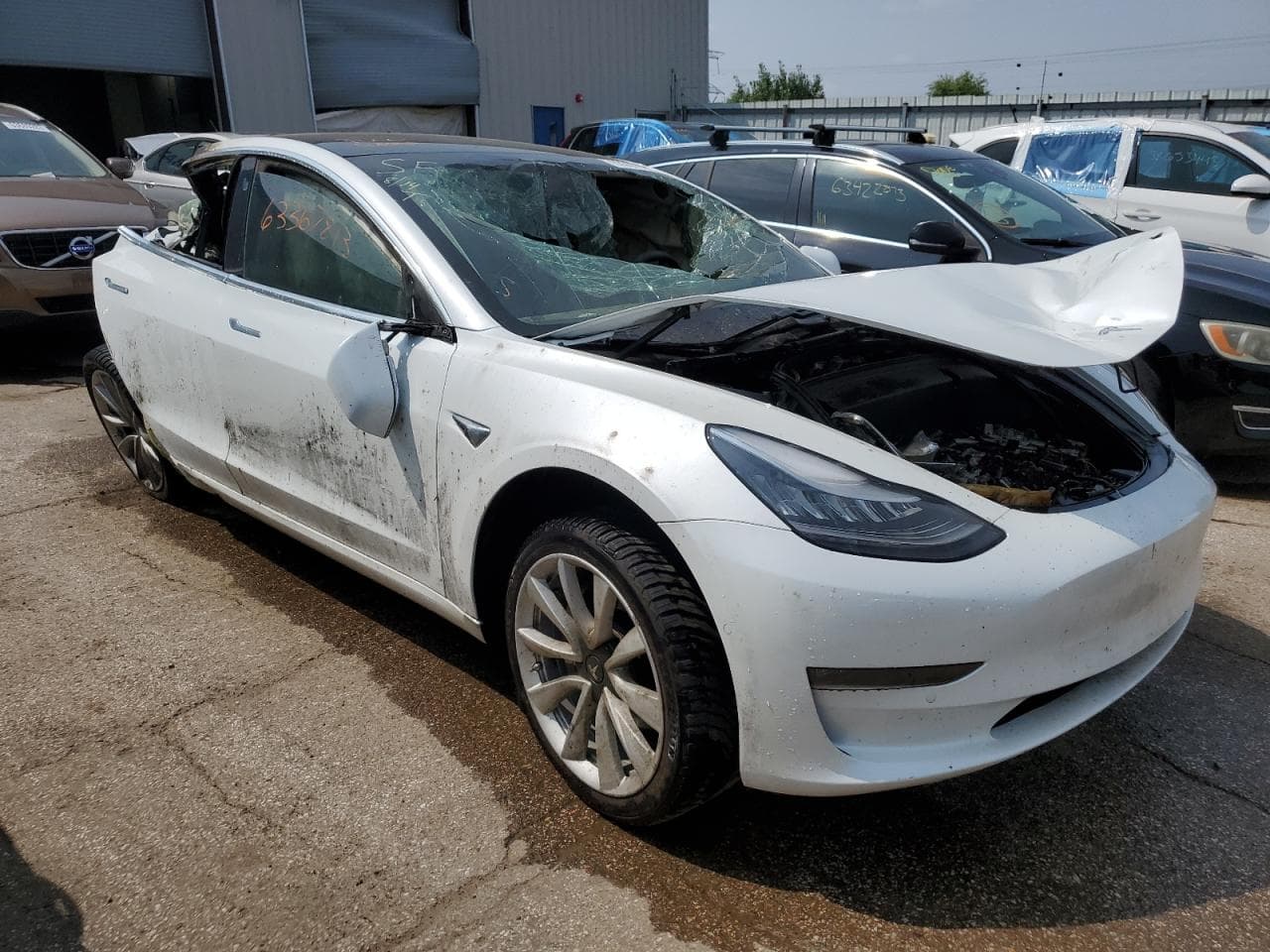 2020 Tesla Model 3 - foto 4
