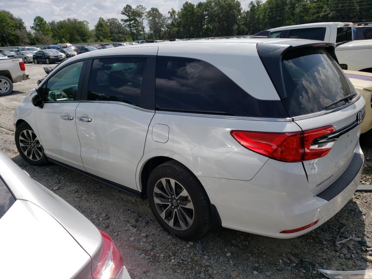 2023 Honda Odyssey Exl - foto 2