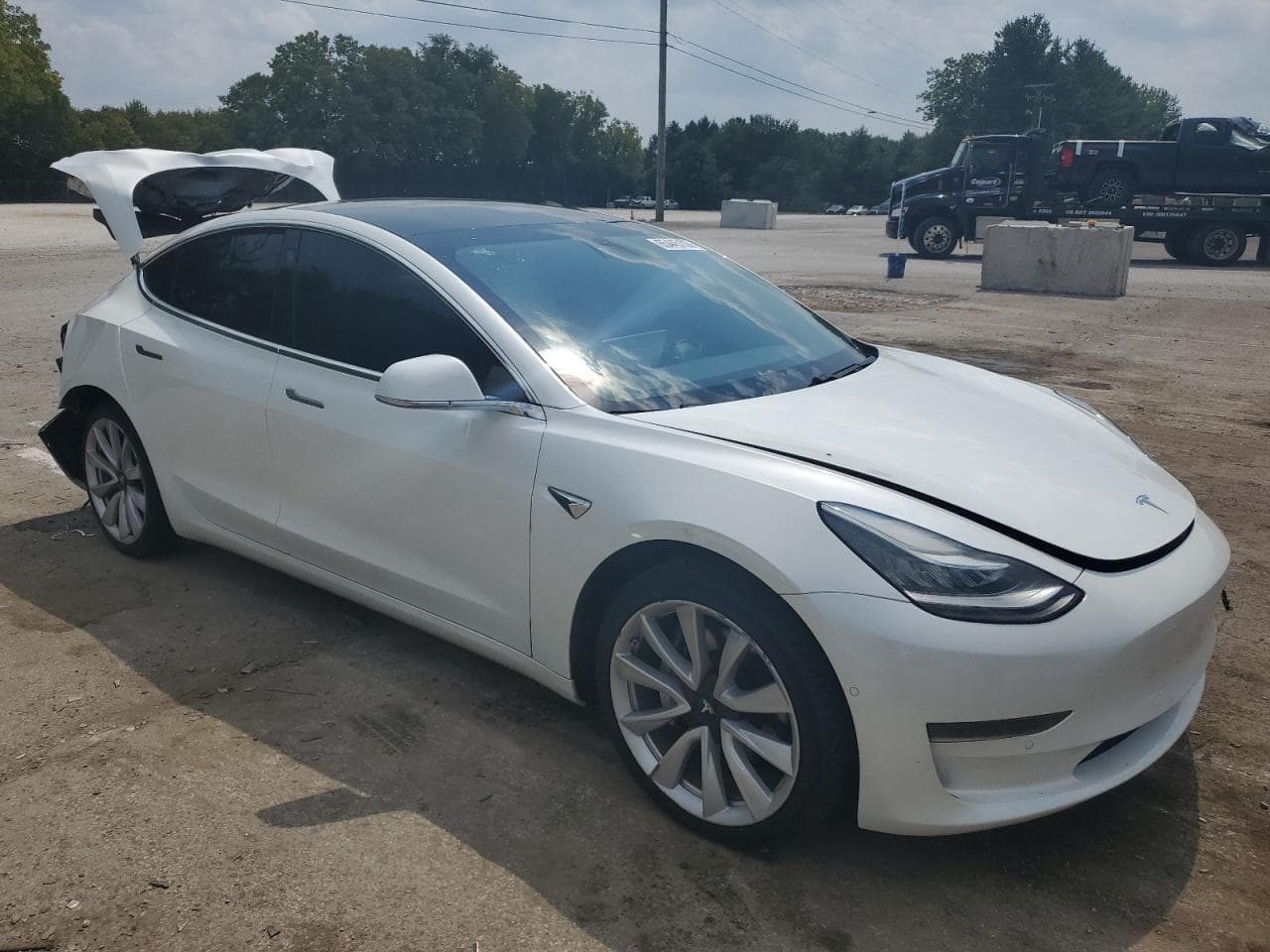 2020 Tesla Model 3 - foto 4