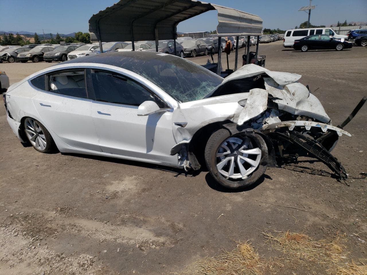 2020 Tesla Model 3 - foto 4