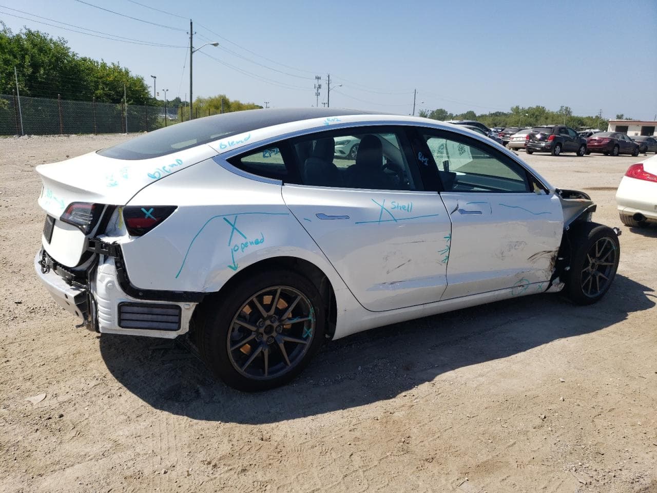 2020 Tesla Model 3 - foto 3