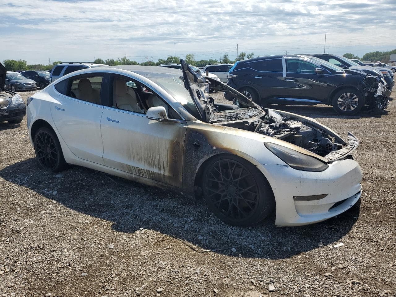 2020 Tesla Model 3 - foto 4