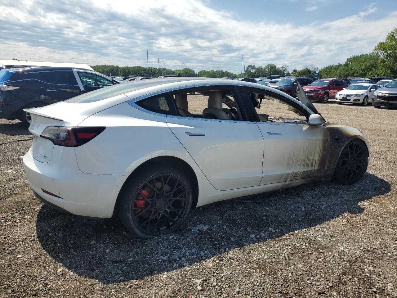 2020 Tesla Model 3 - foto 3