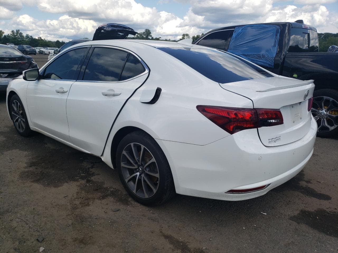 2015 Acura Tlx Advance - foto 2