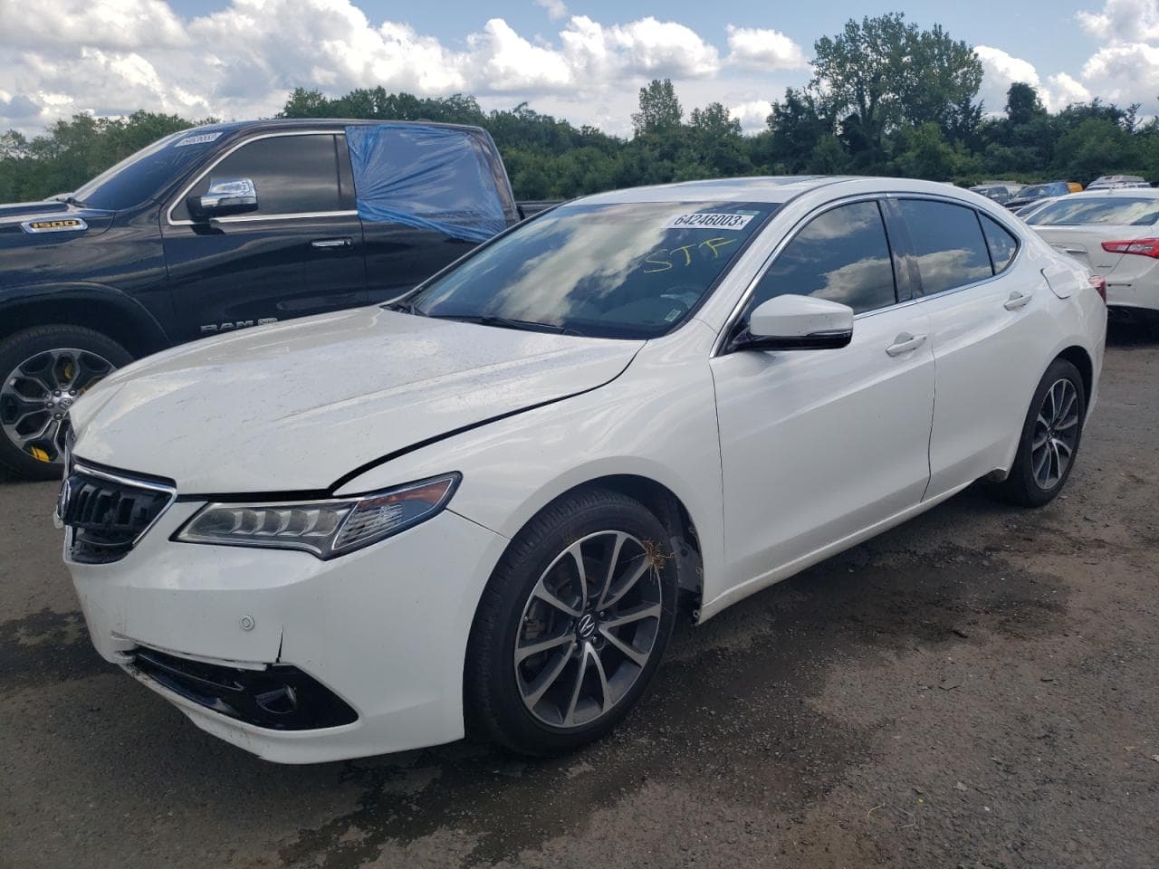 2015 Acura Tlx Advance
