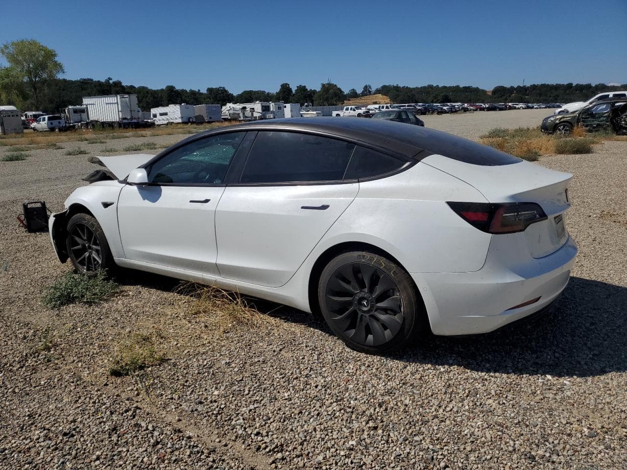 2021 Tesla Model 3 - foto 2