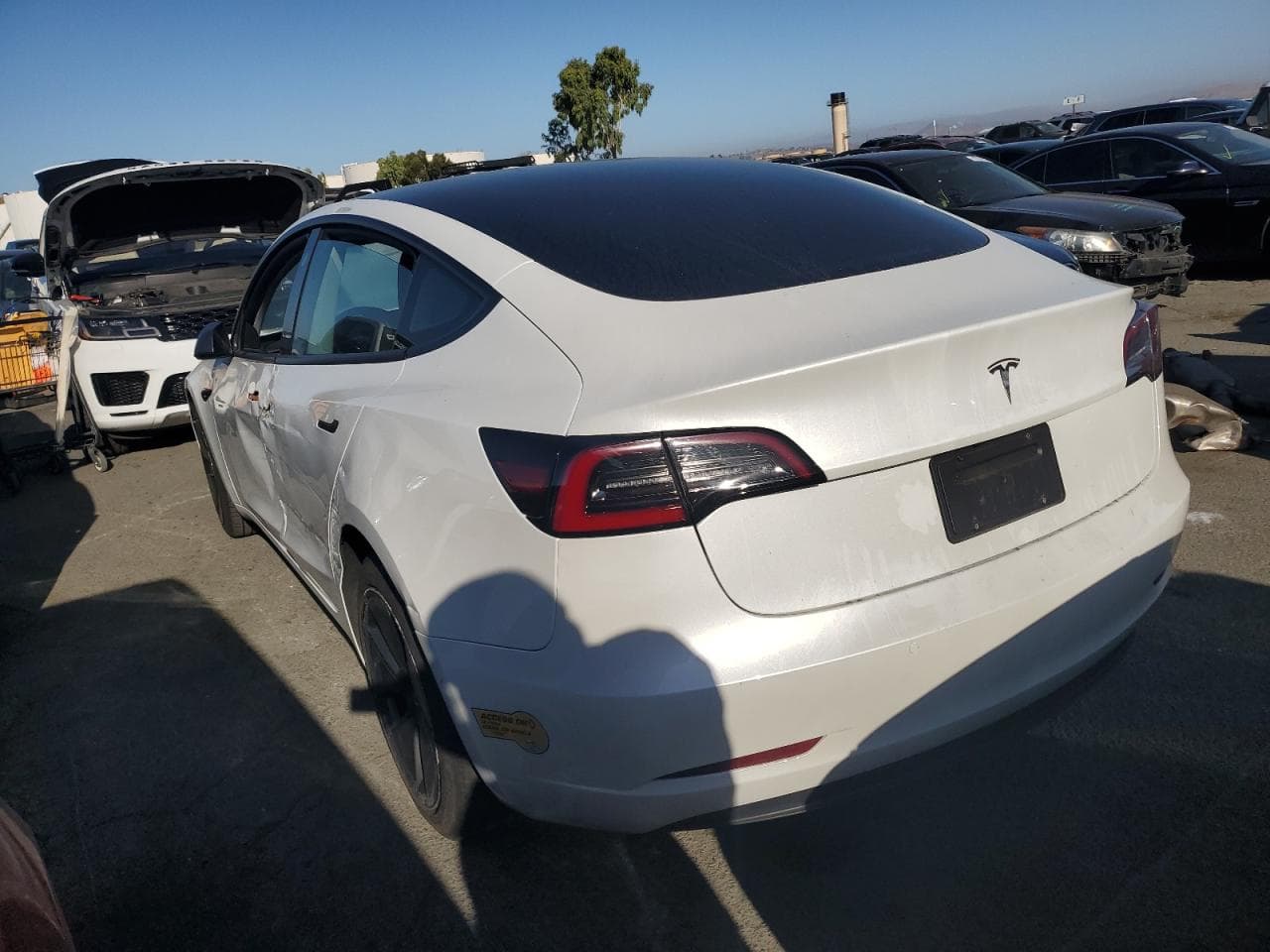 2021 Tesla Model 3 - foto 2