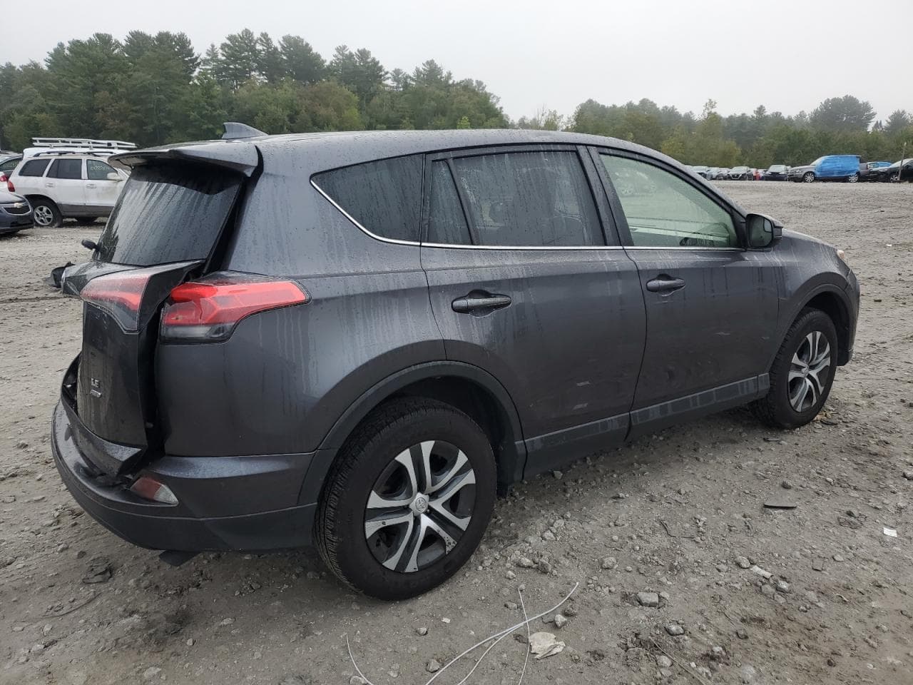 2018 Toyota Rav4 Le - foto 3