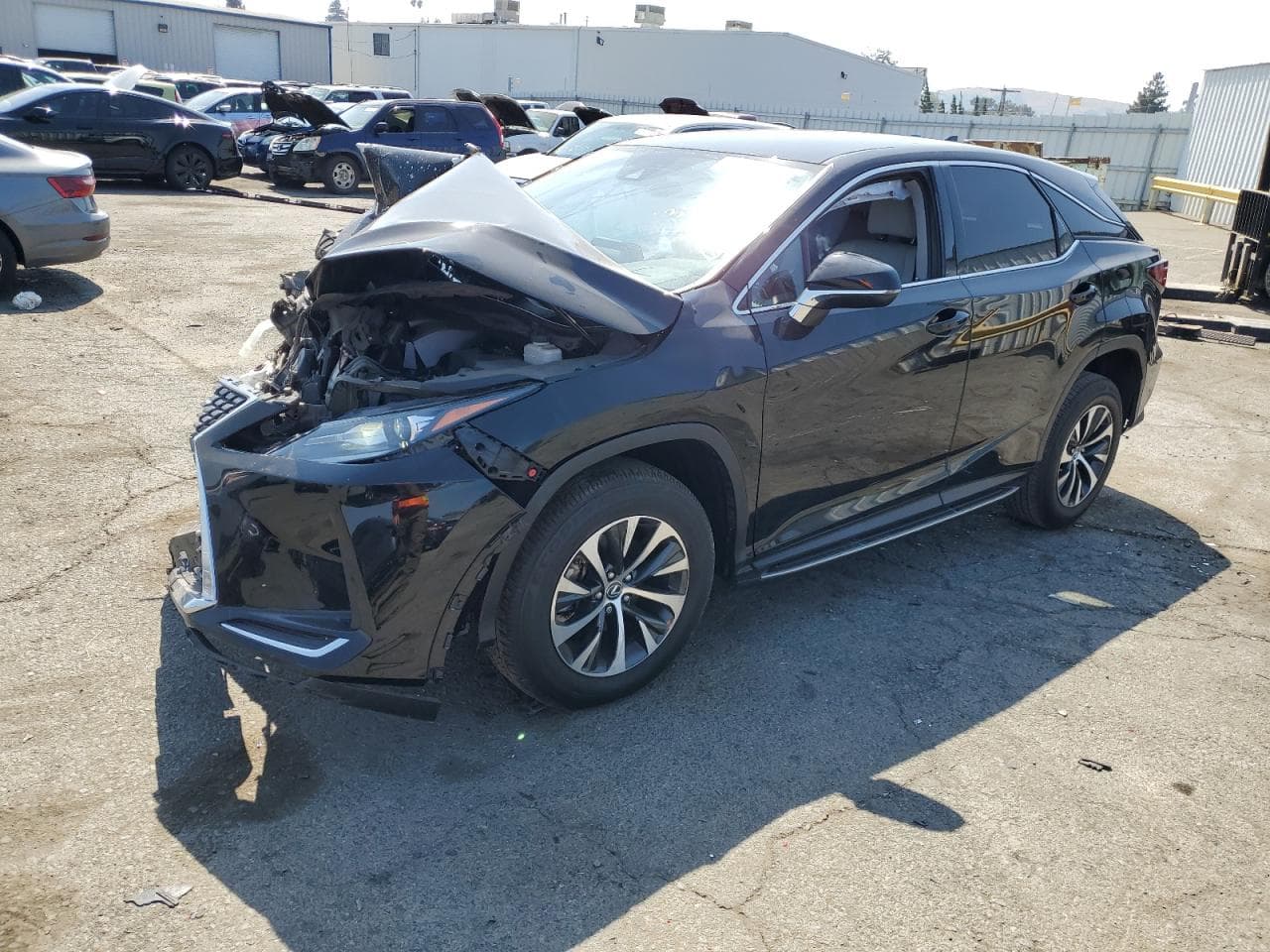 2020 Lexus RX z USA