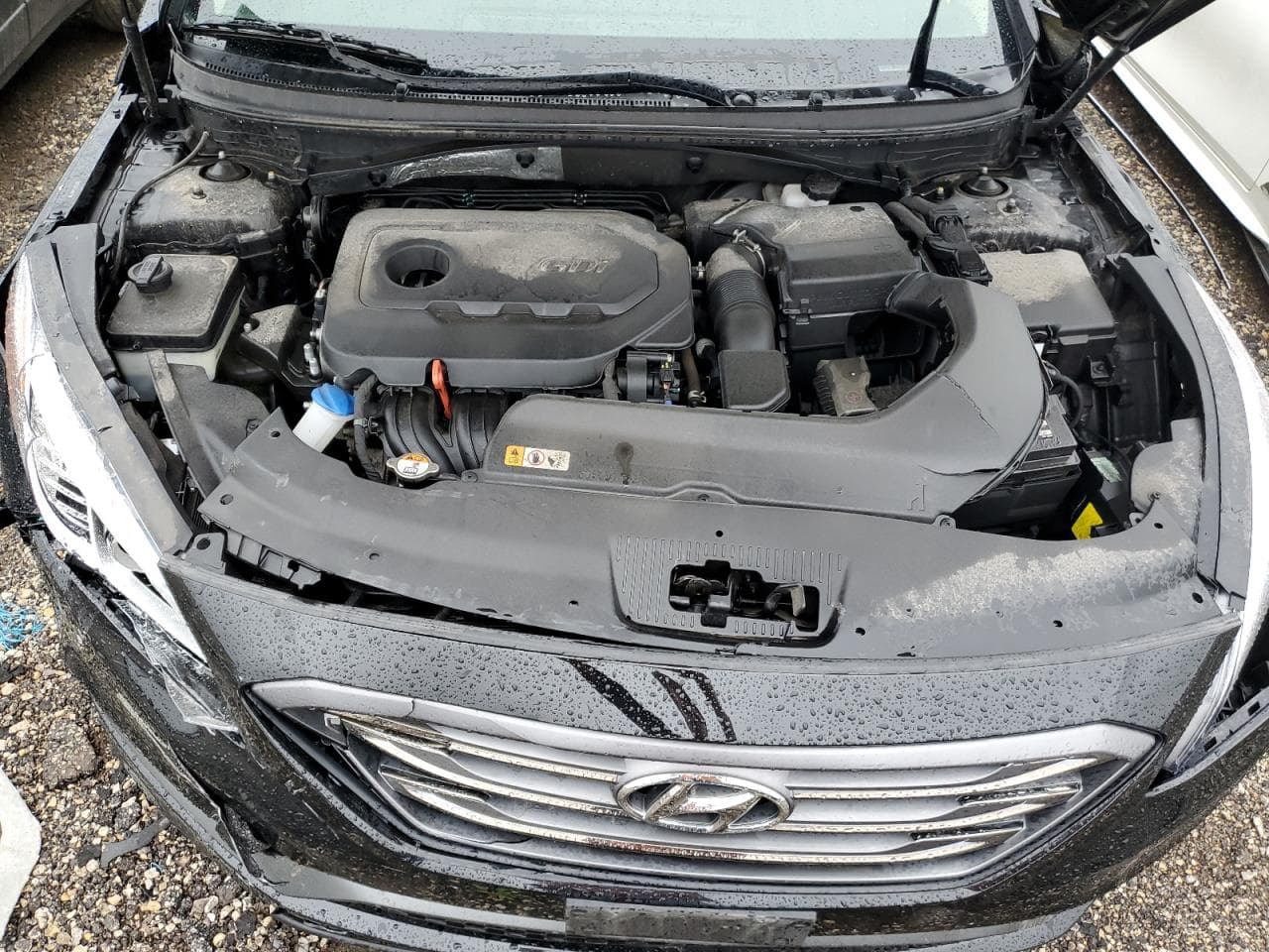 2017 Hyundai Sonata Sport - foto 3