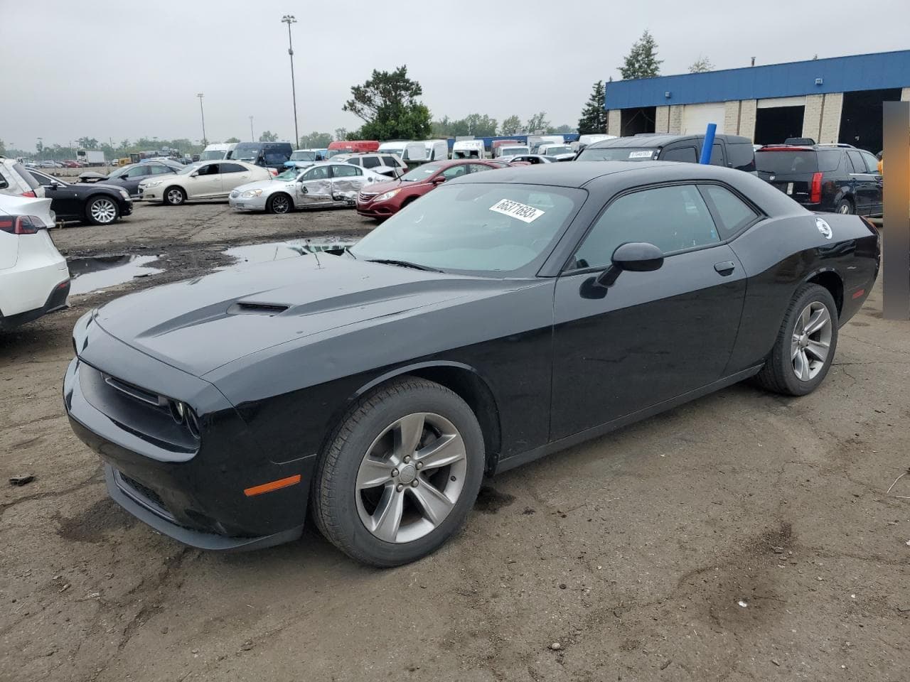 2016 Dodge Challenger Sxt