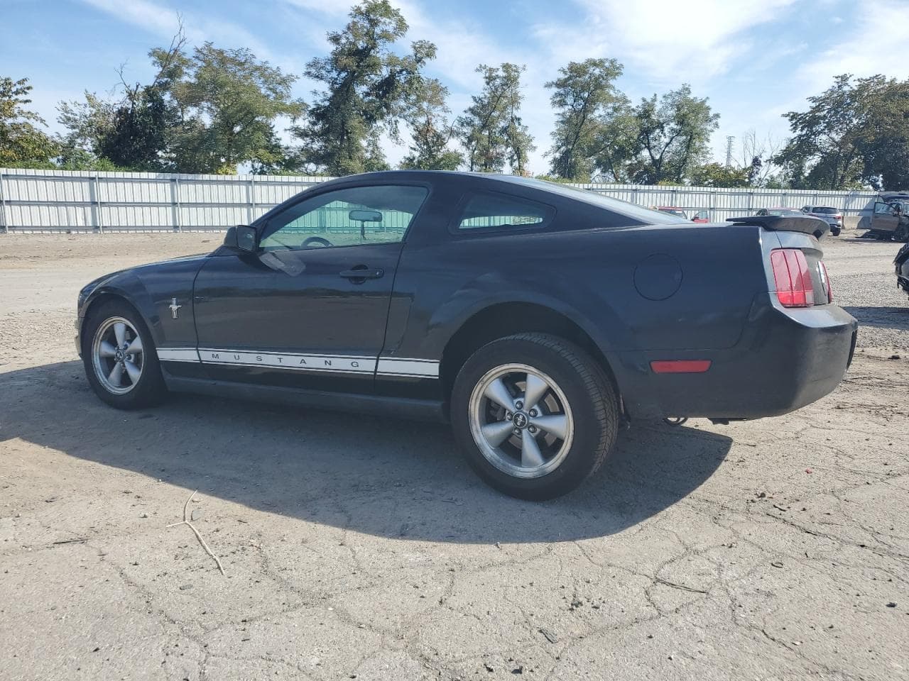 2007 Ford Mustang V6 Deluxe/V6 Premium - foto 2