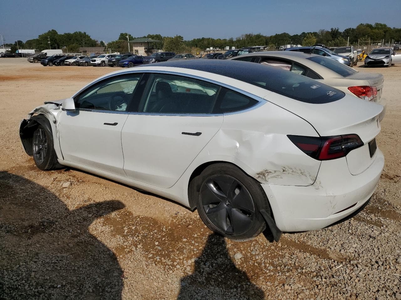 2020 Tesla Model 3 - foto 2