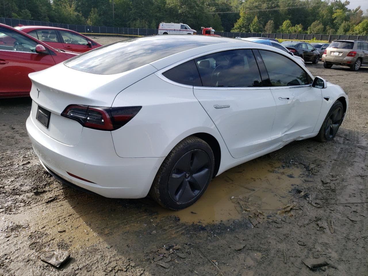 2020 Tesla Model 3 - foto 3