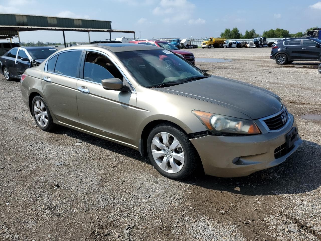 2009 Honda Accord 3.5 Ex-L - foto 4