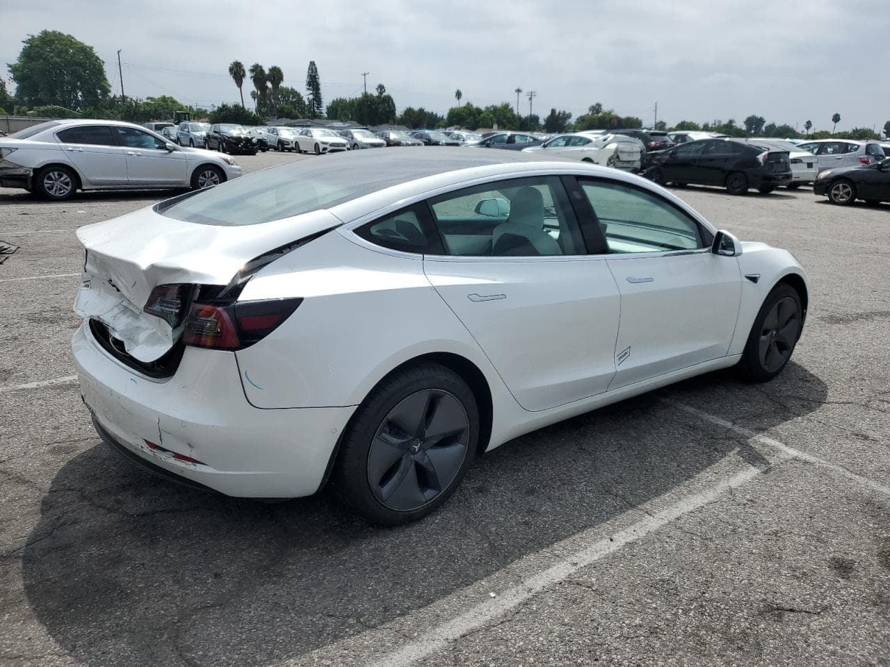 2020 Tesla Model 3 - foto 3