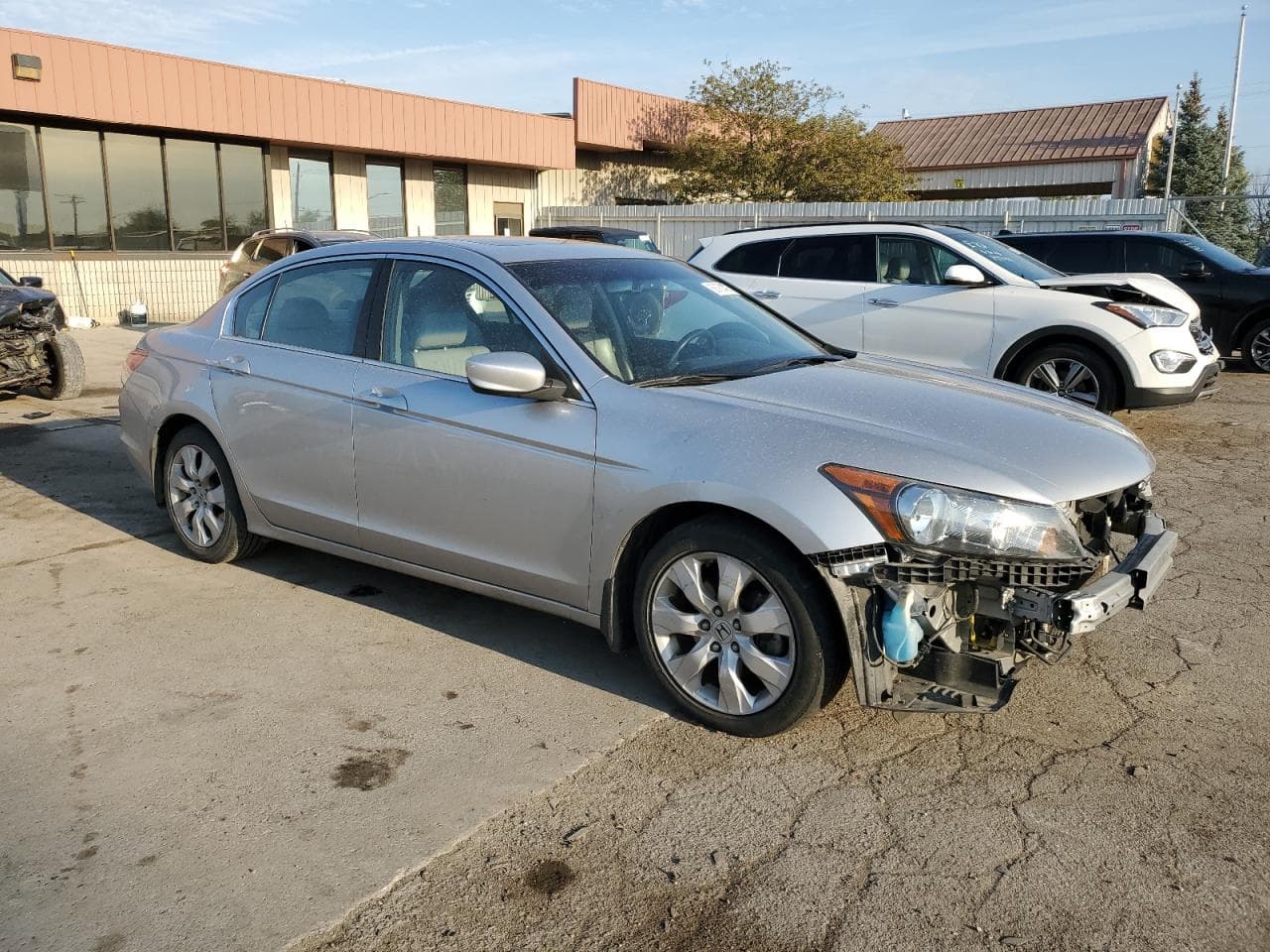2010 Honda Accord Exl - foto 4