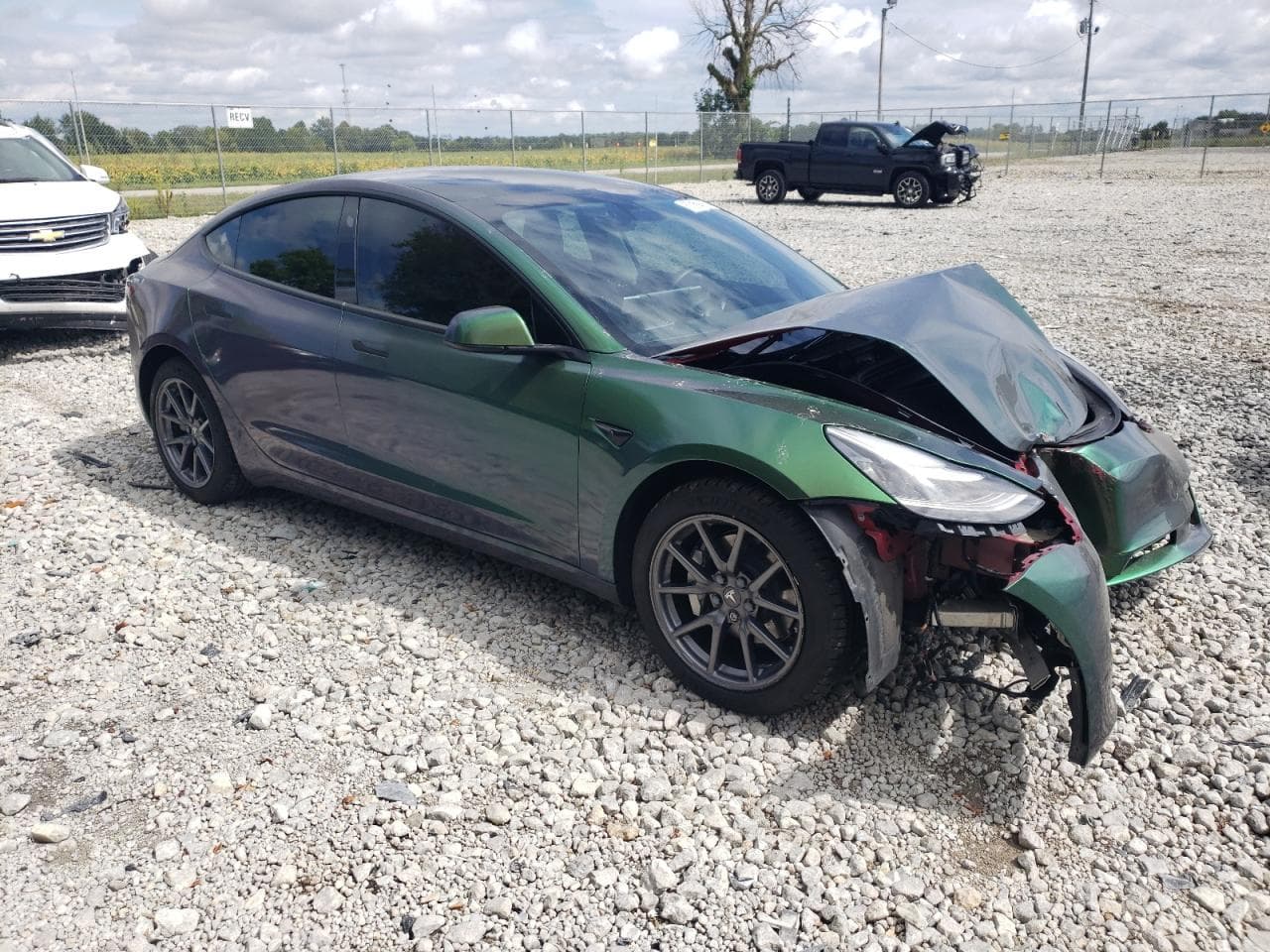 2020 Tesla Model 3 - foto 4