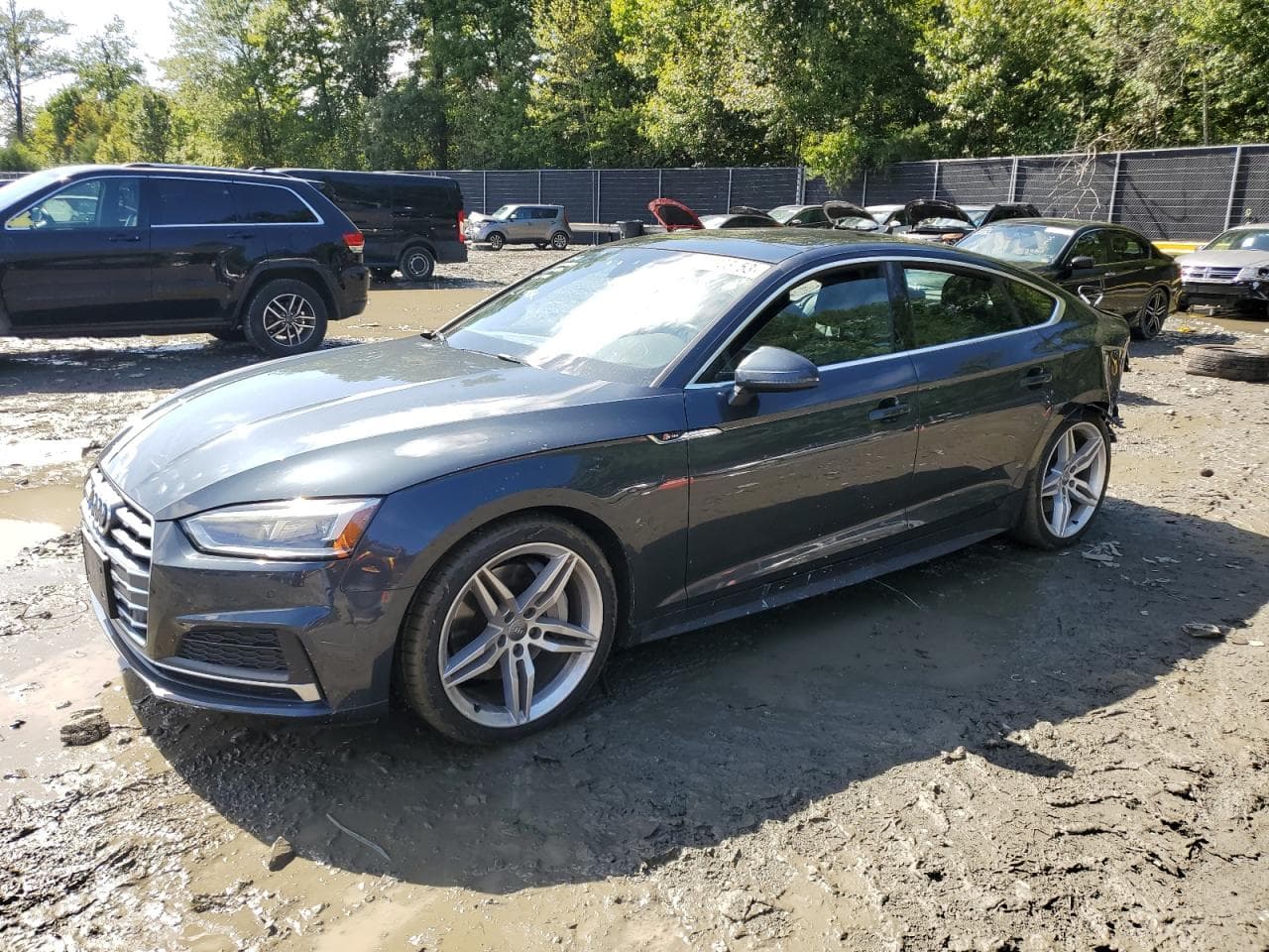 2019 Audi A5 z USA