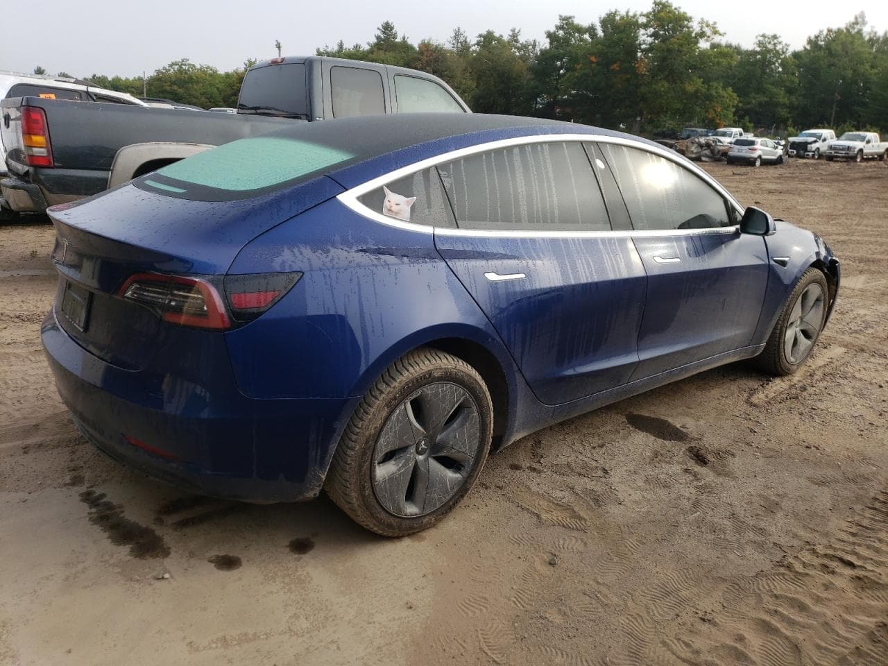 2020 Tesla Model 3 - foto 3