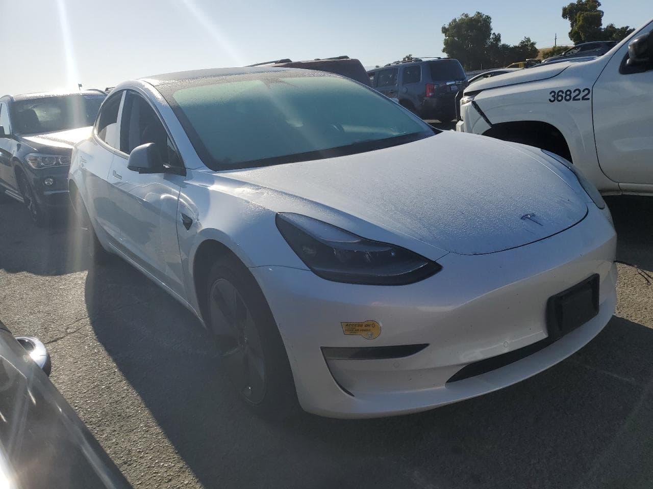 2021 Tesla Model 3 - foto 4