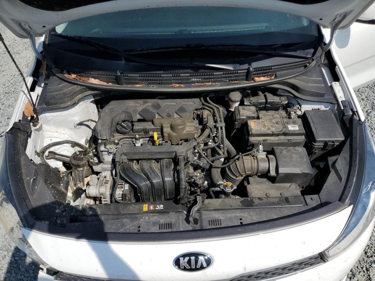 2020 Kia Rio Lx - foto 4