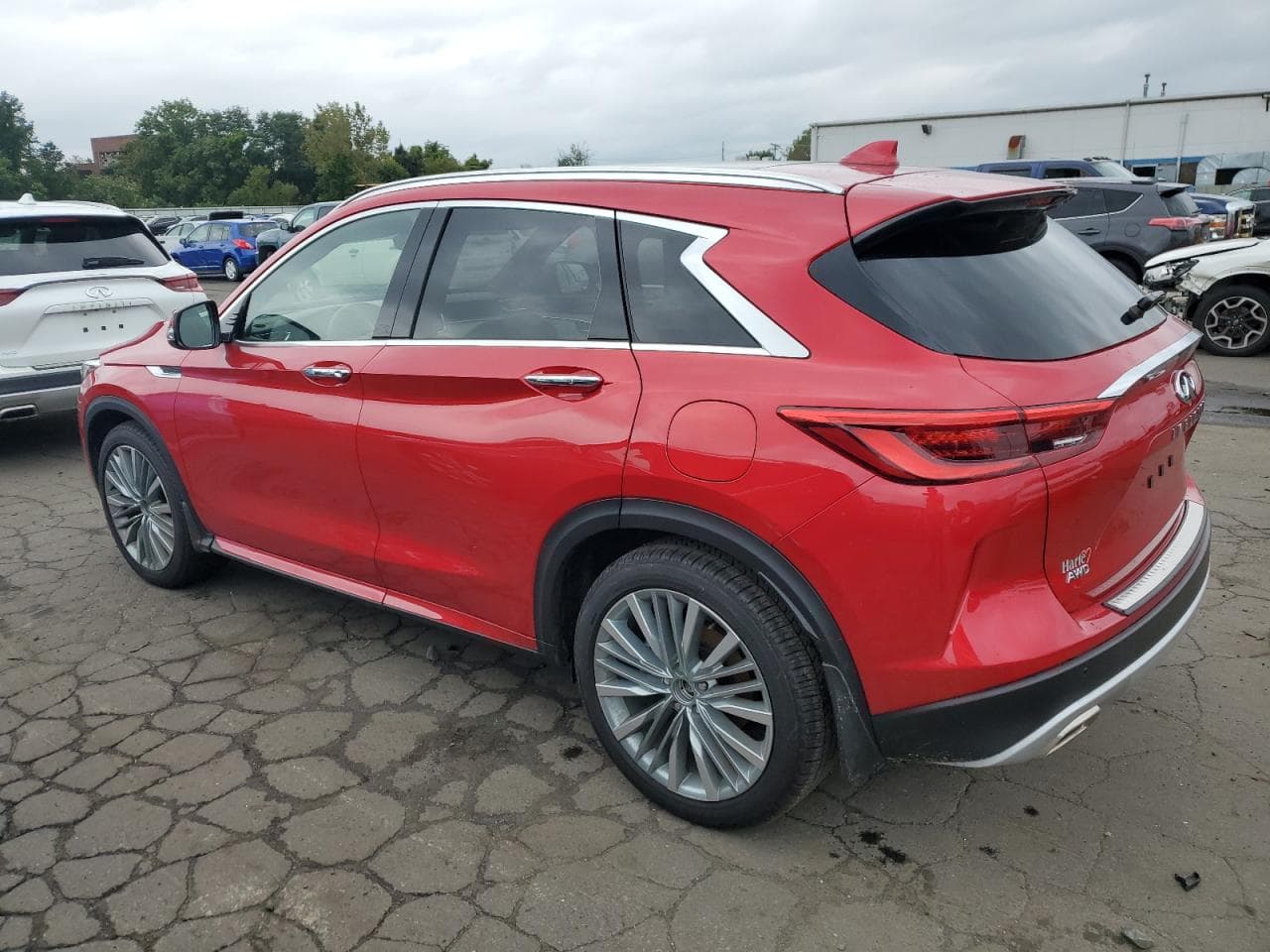 2023 Infiniti Qx50 Autograph - foto 2