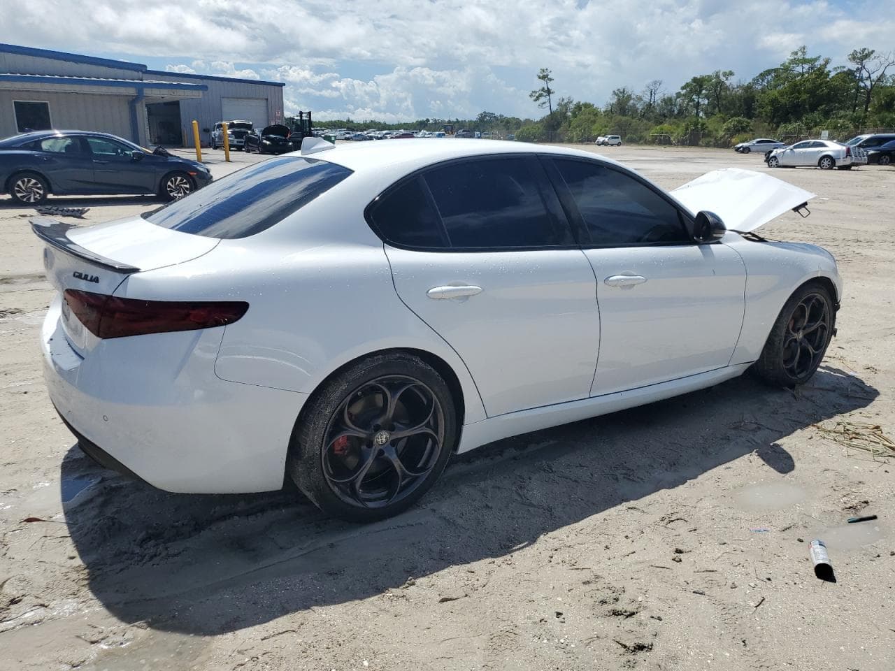 2019 Alfa Romeo Giulia - foto 3
