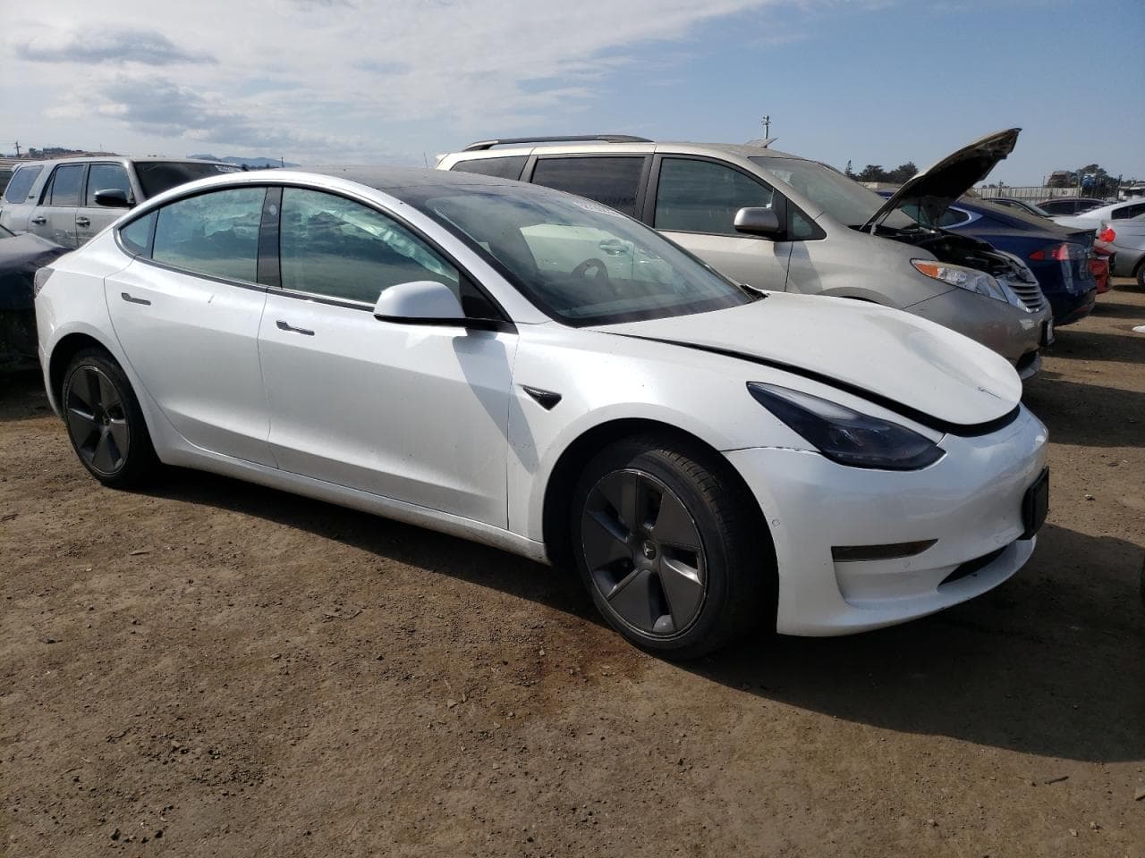 2021 Tesla Model 3 - foto 4