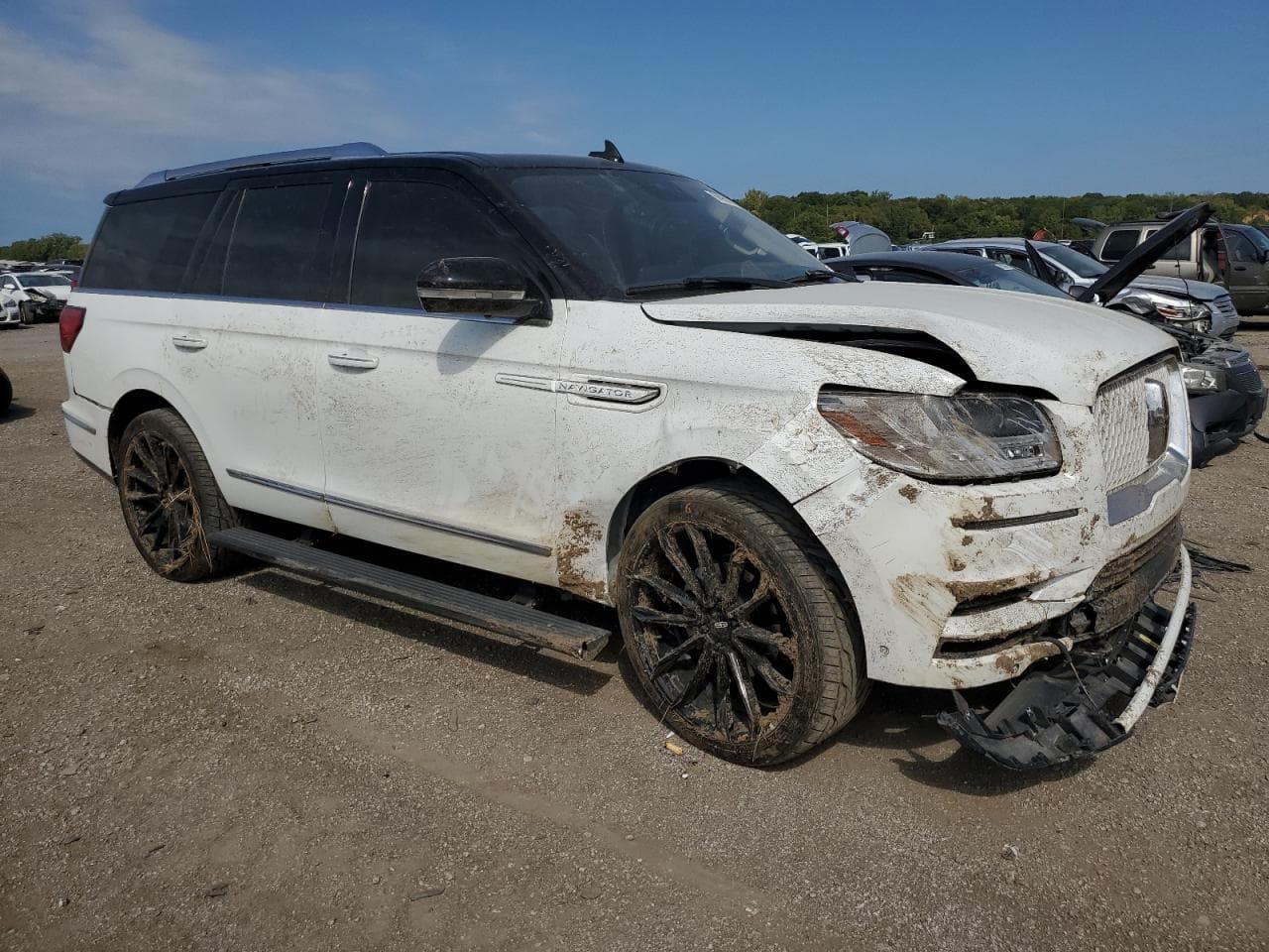 2020 Lincoln Navigator Reserve - foto 4
