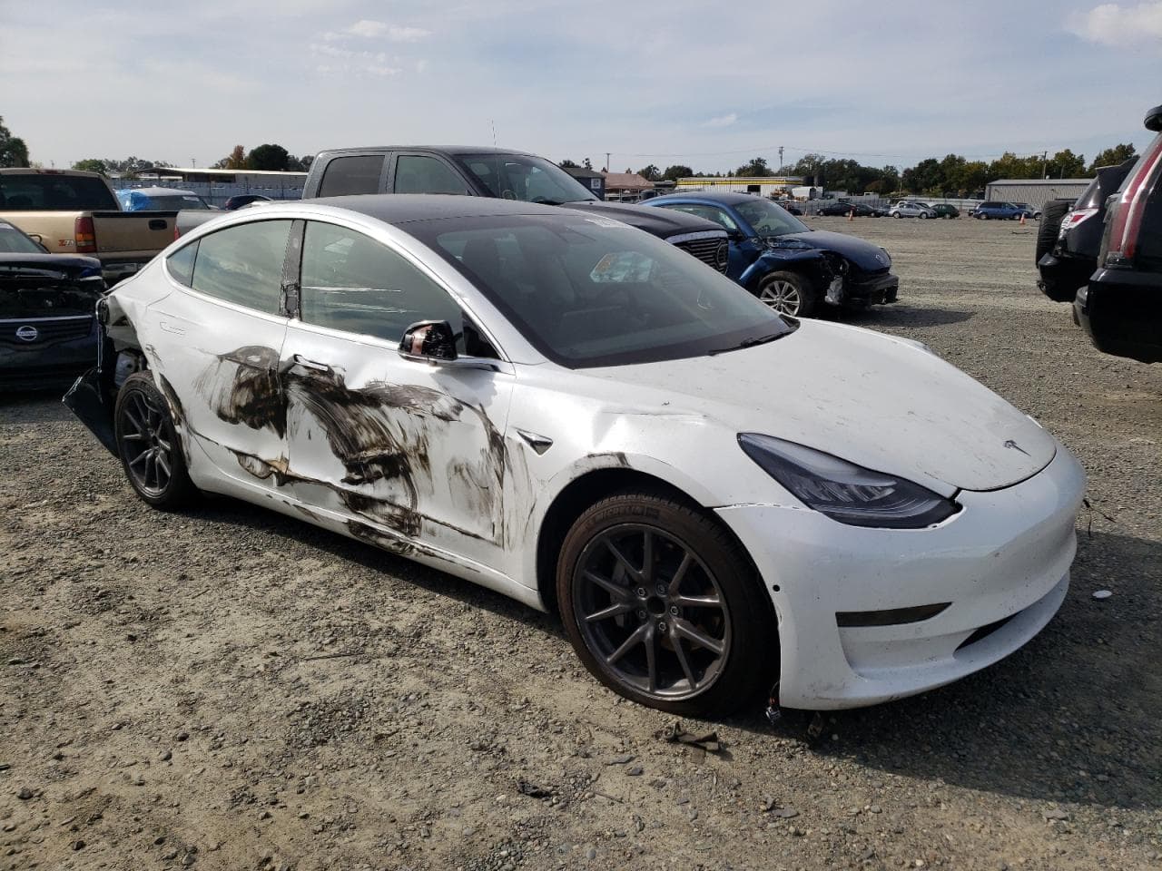 2020 Tesla Model 3 - foto 4