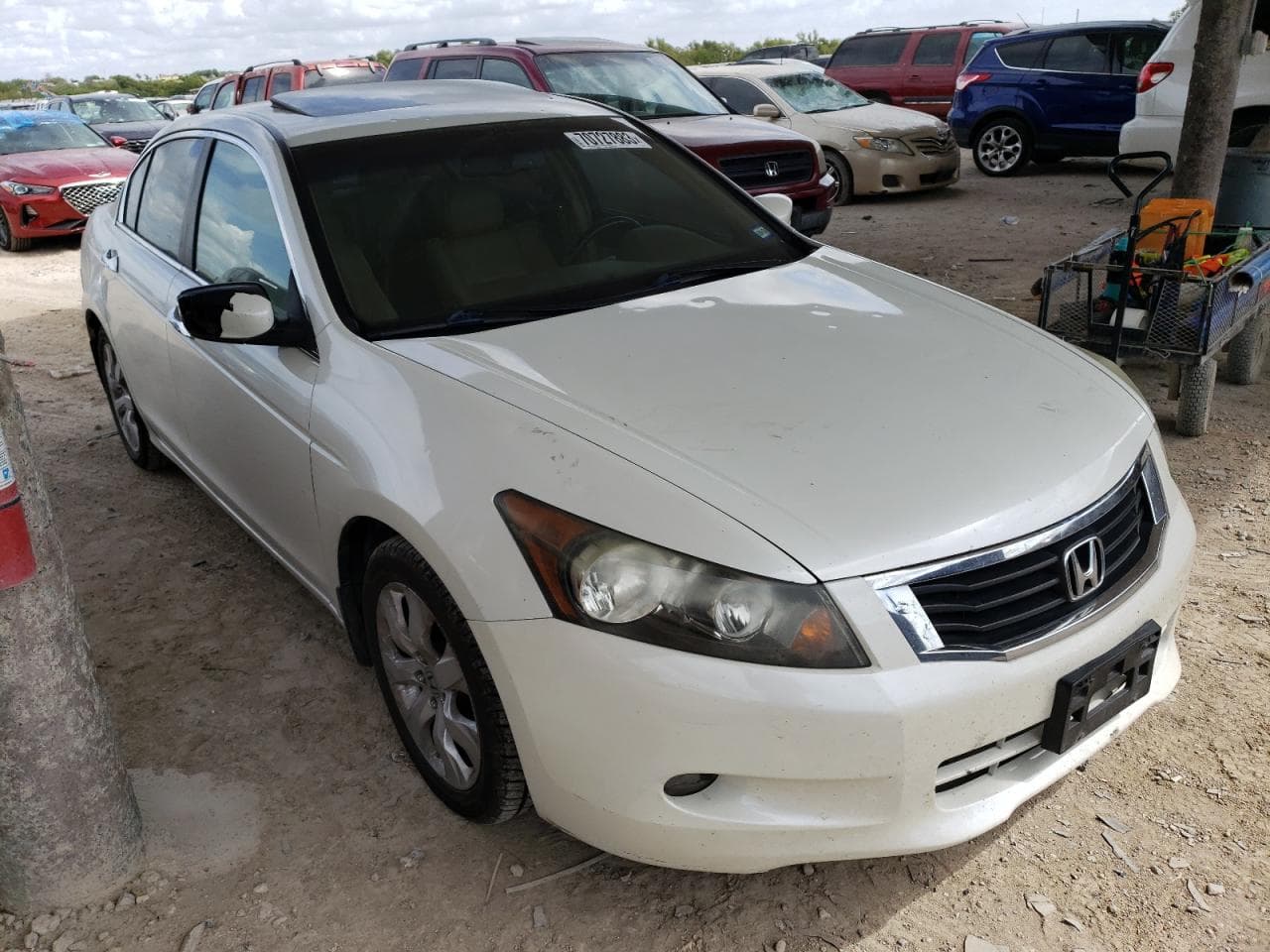 2008 Honda Accord 3.5 Ex-L - foto 4