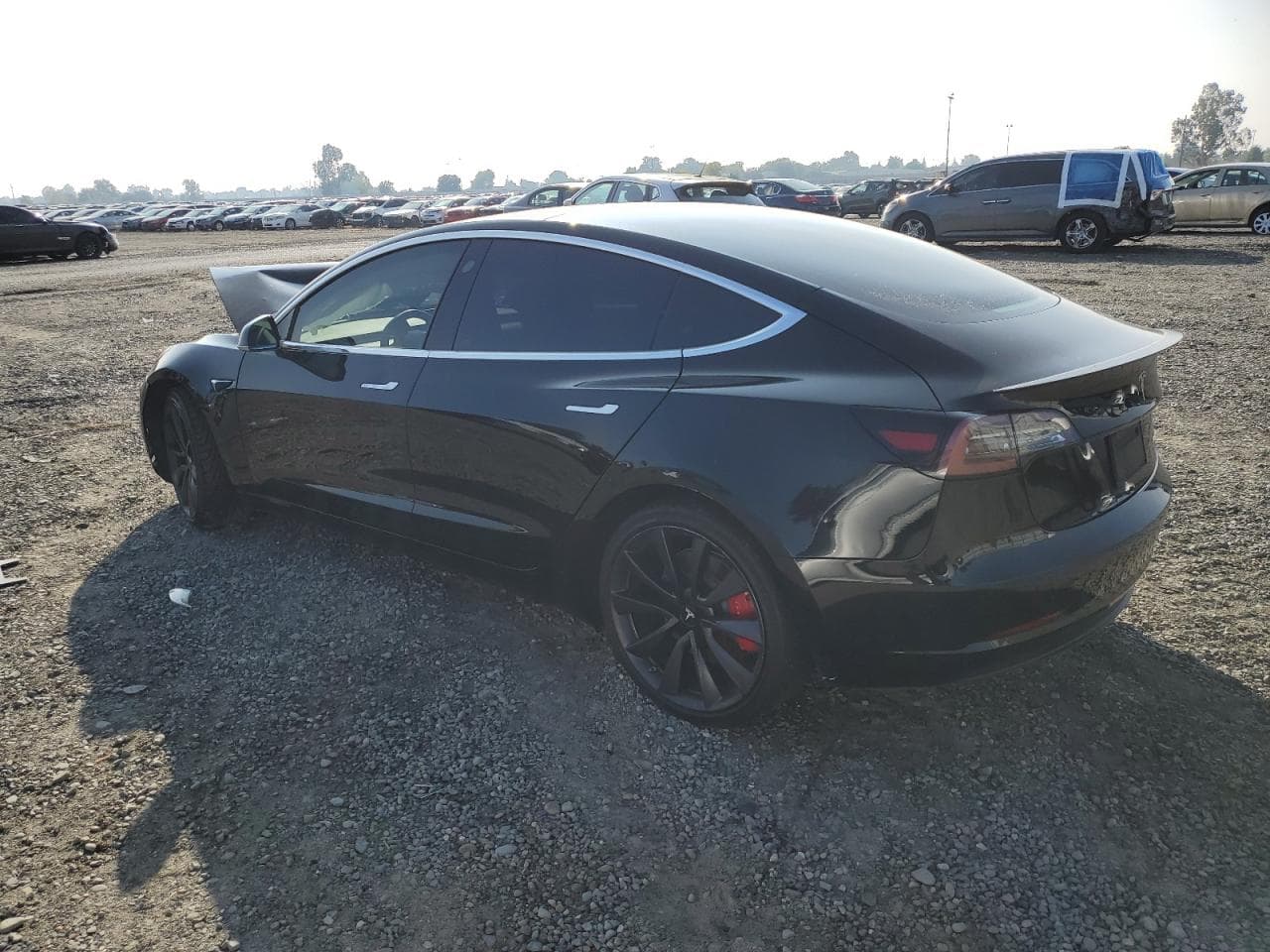 2020 Tesla Model 3 - foto 2