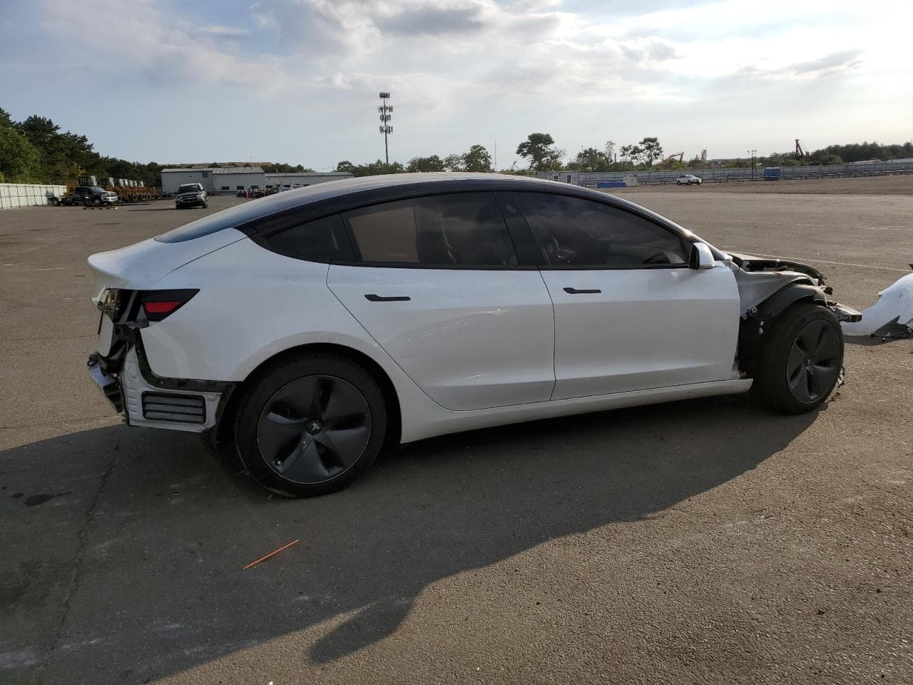 2020 Tesla Model 3 - foto 3