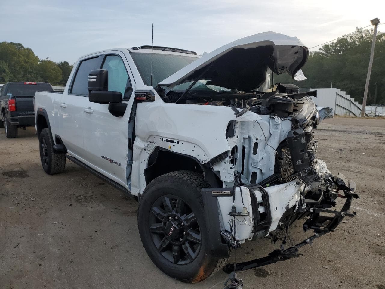 2024 GMC Sierra K2500 At4 - foto 2