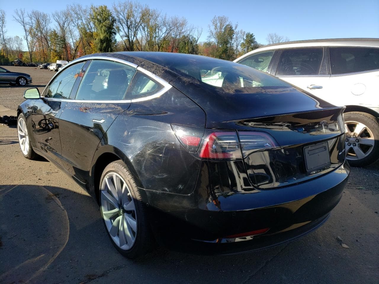 2020 Tesla Model 3 - foto 2