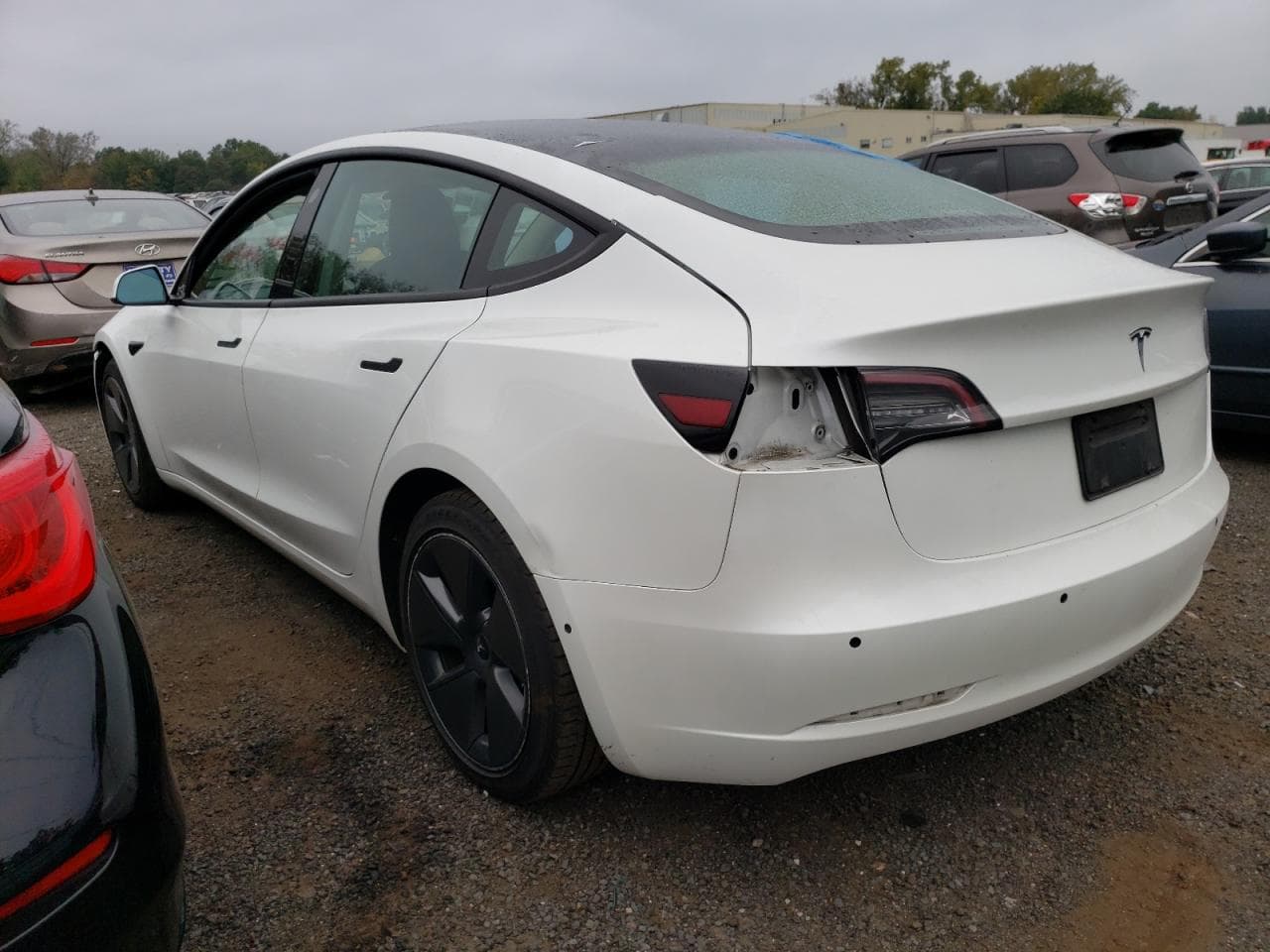 2021 Tesla Model 3 - foto 2