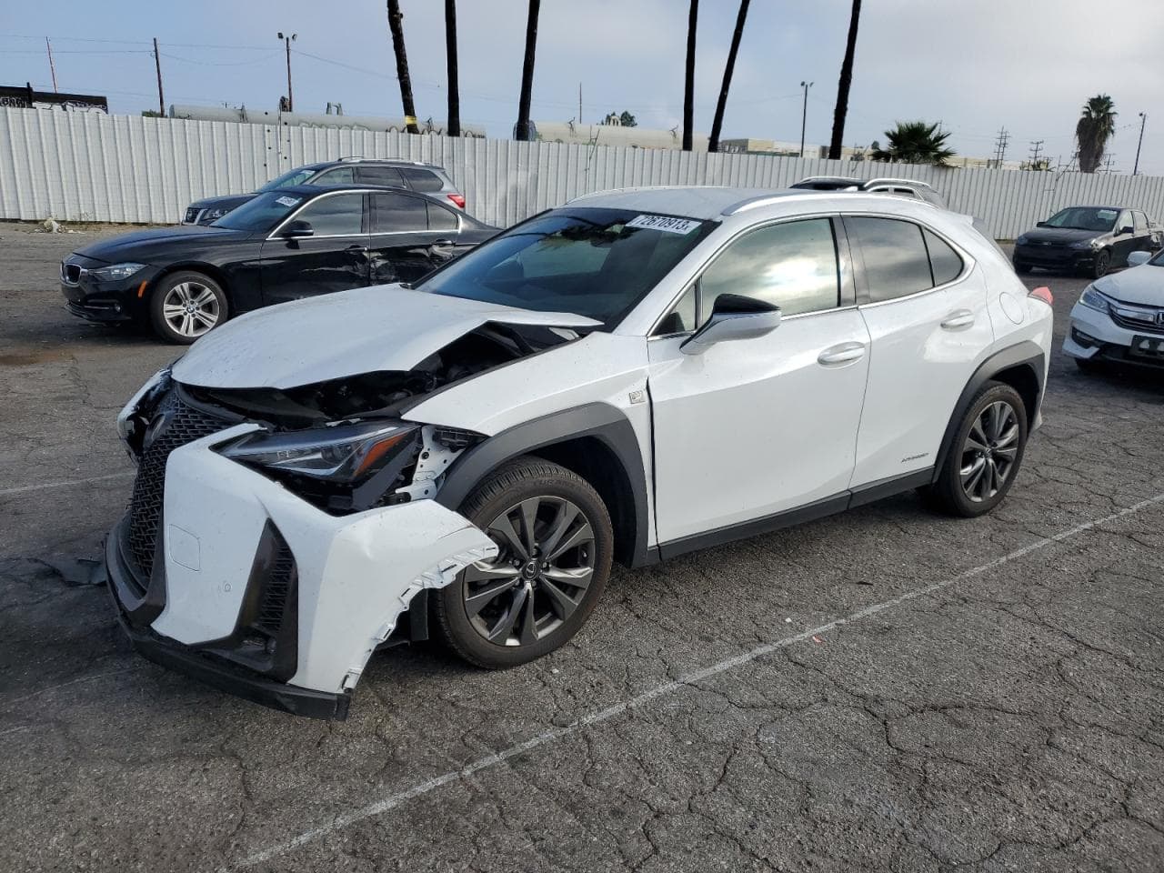 2021 Lexus UX z USA