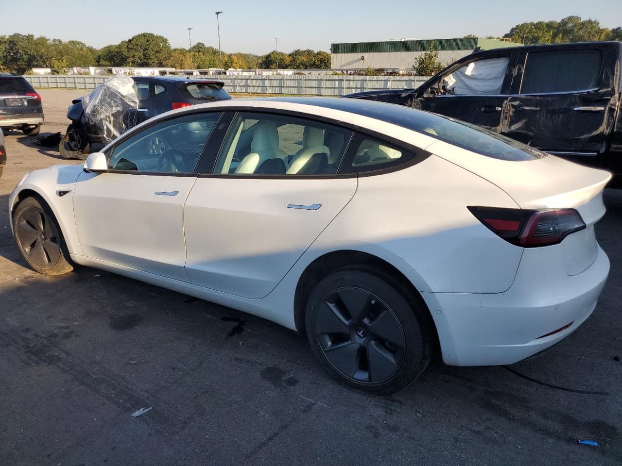 2020 Tesla Model 3 - foto 2
