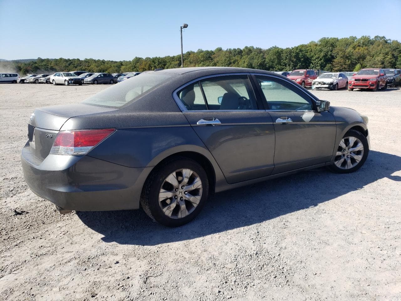 2010 Honda Accord Exl - foto 3