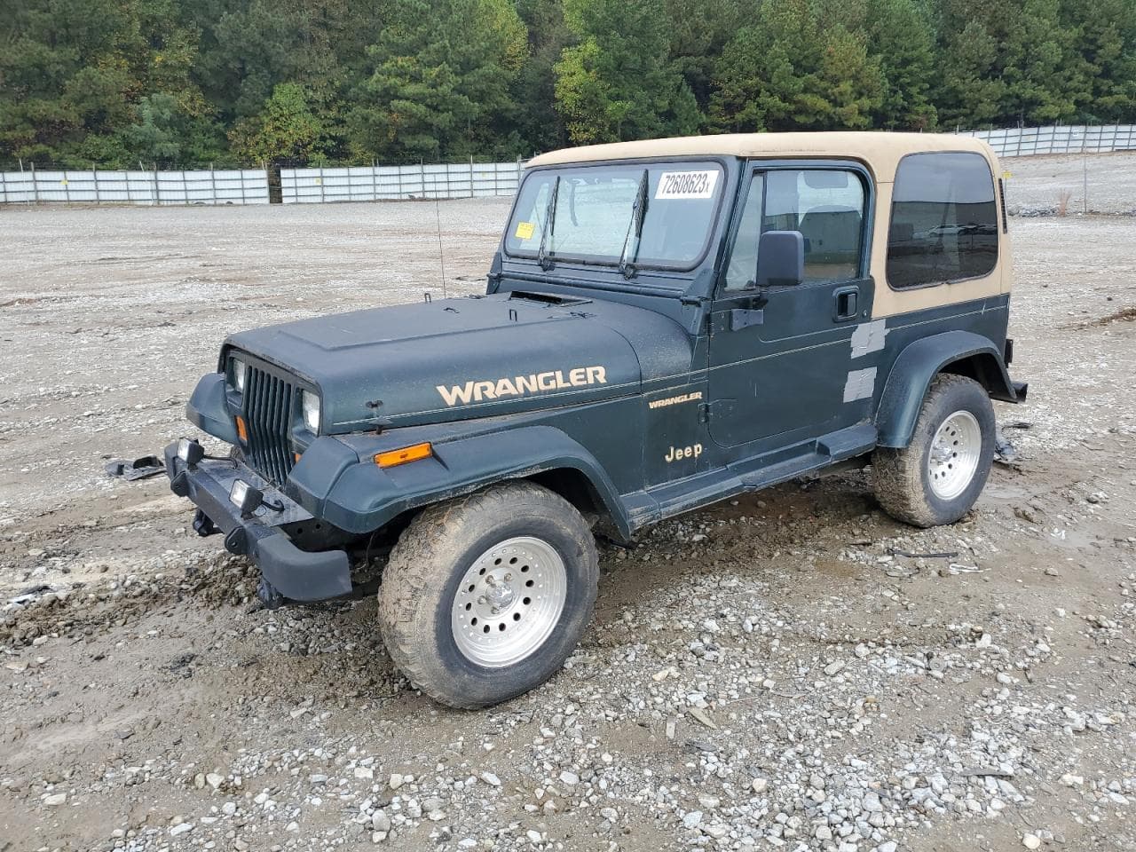 1995 Jeep Wrangler / Yj Sahara