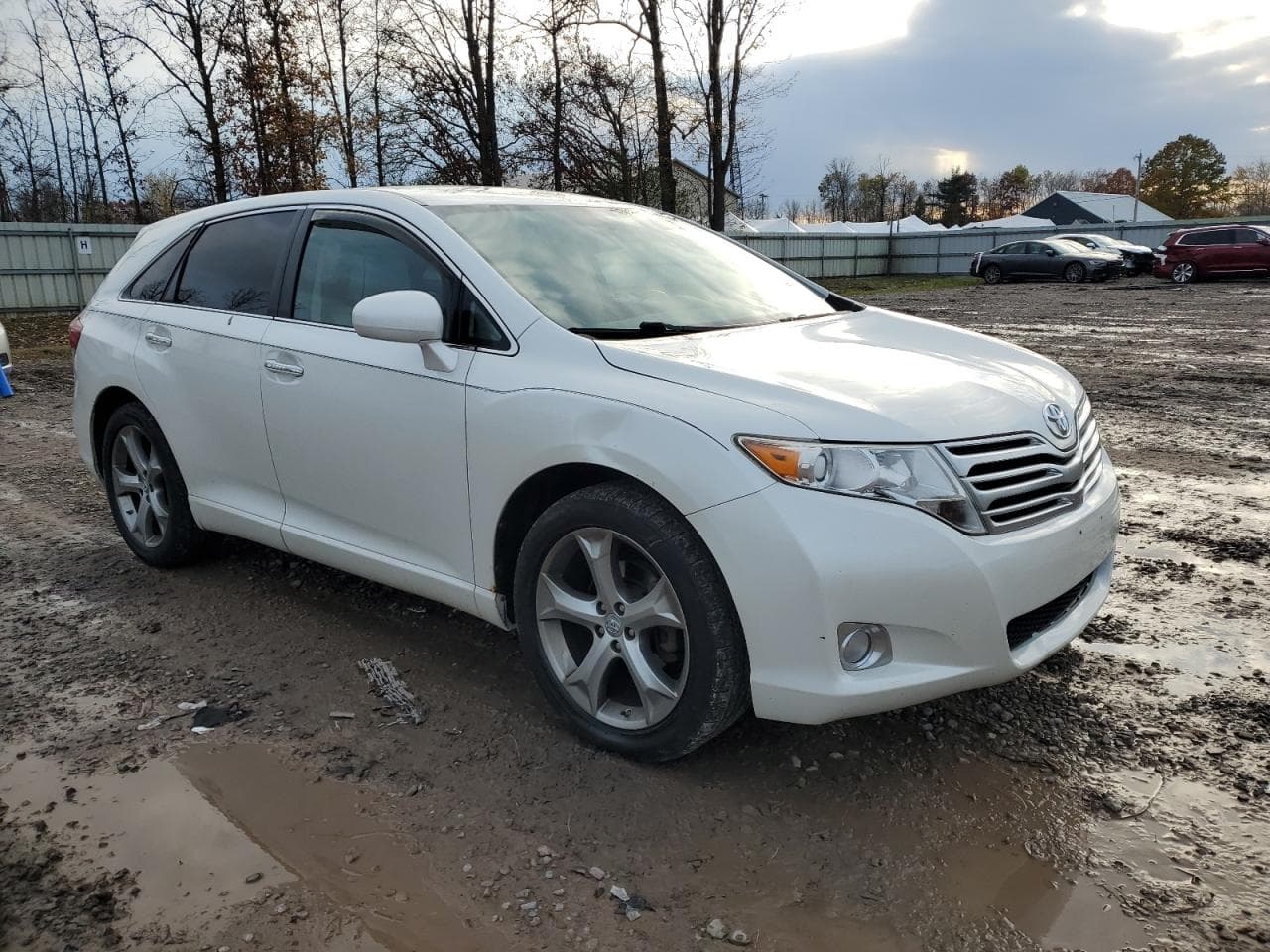 2009 Toyota Venza - foto 4