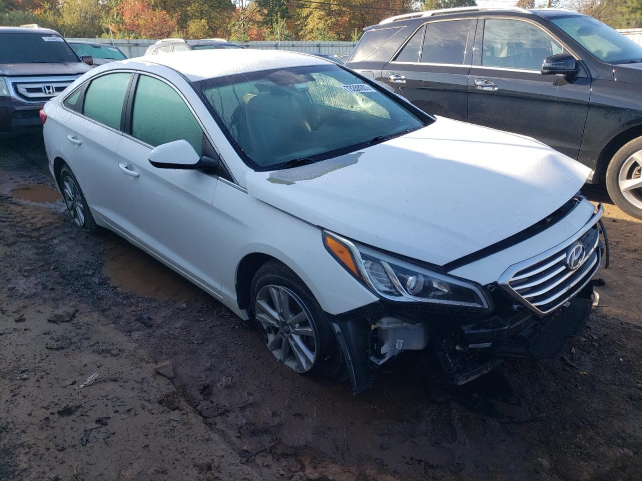 2016 Hyundai Sonata Se - foto 4