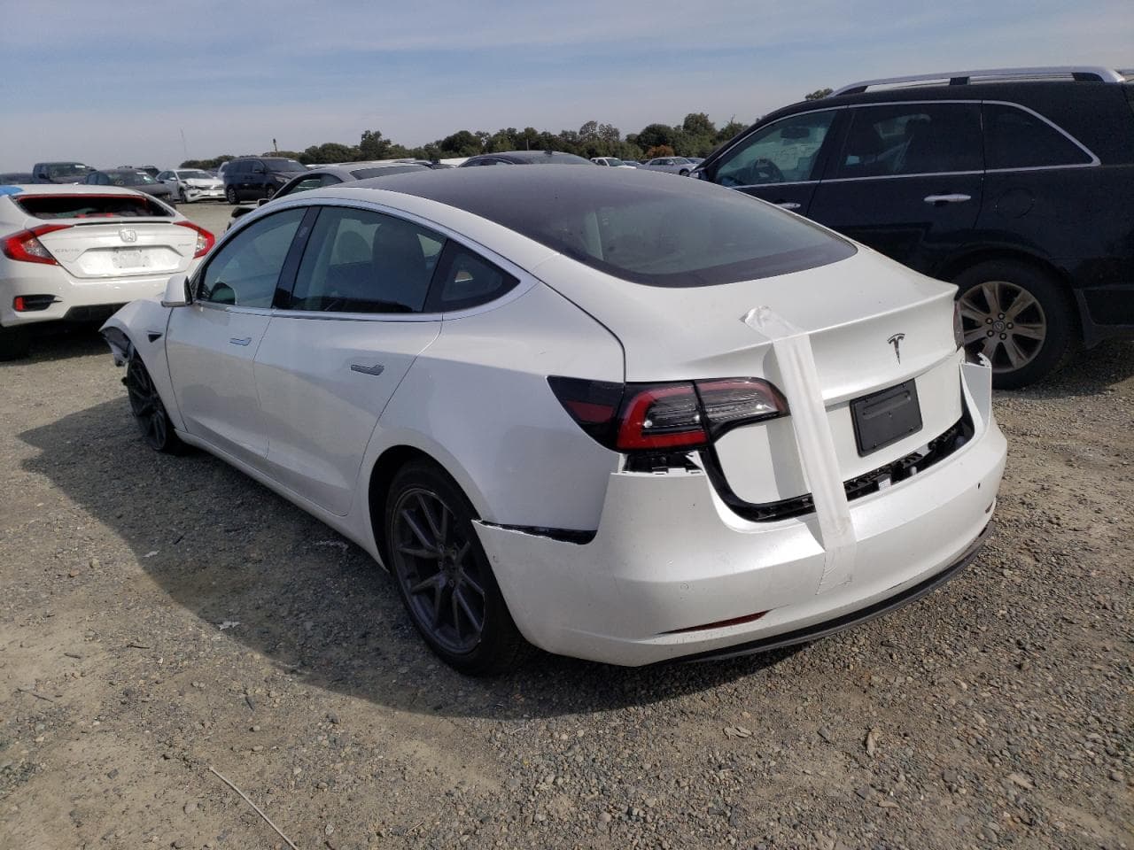 2020 Tesla Model 3 - foto 2