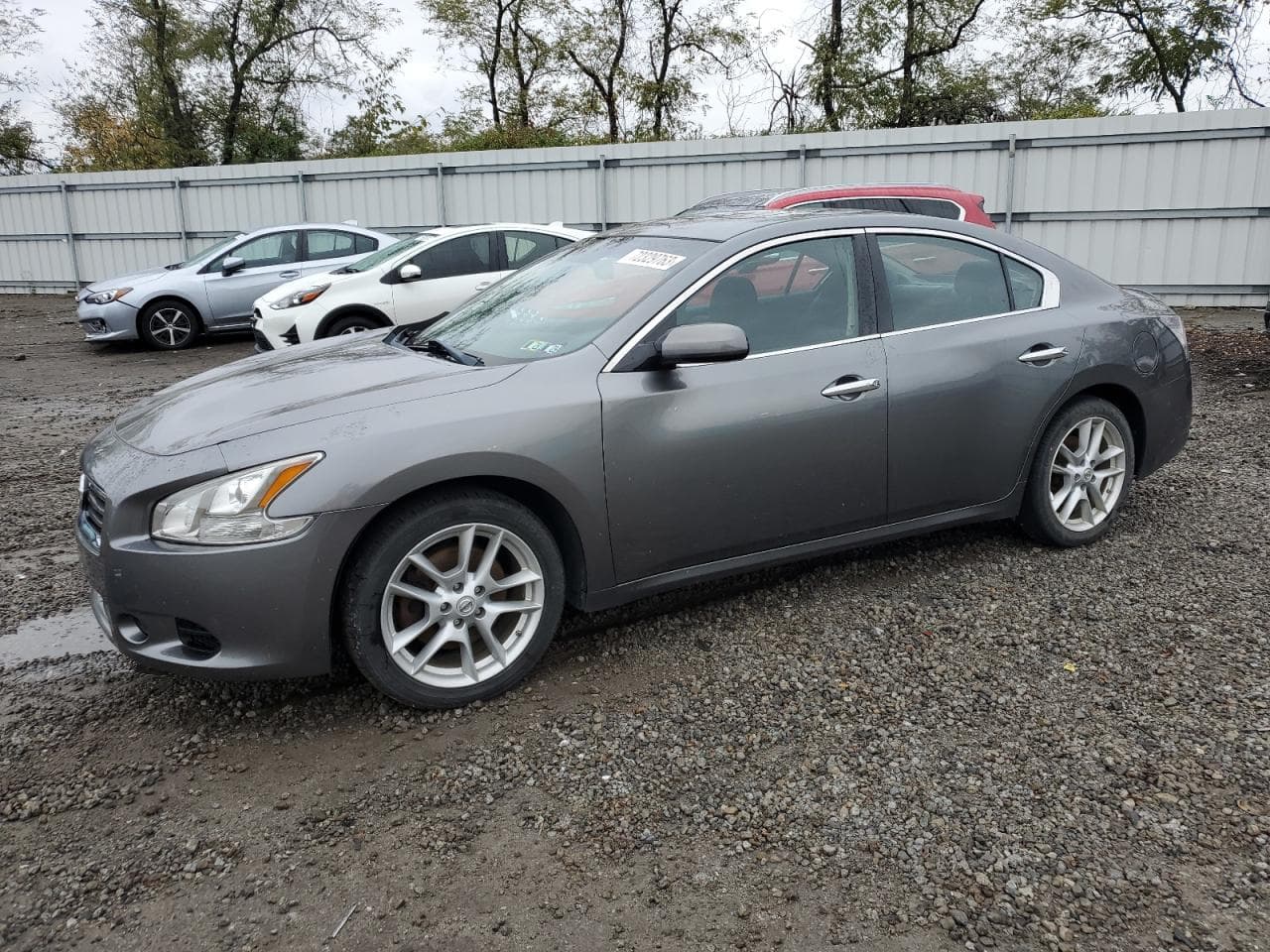 2014 Nissan Maxima S