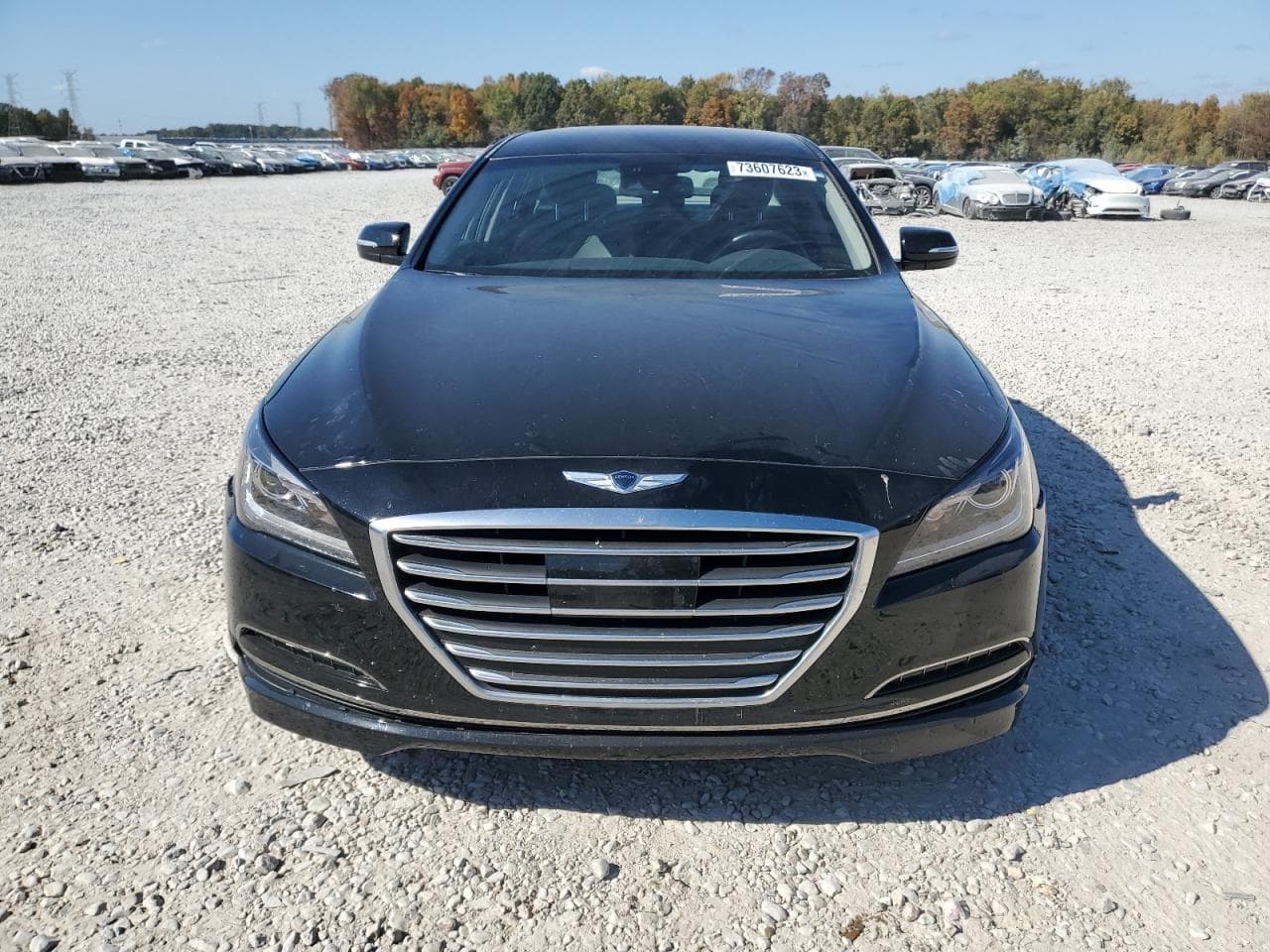 2017 Genesis G80 Base - foto 2