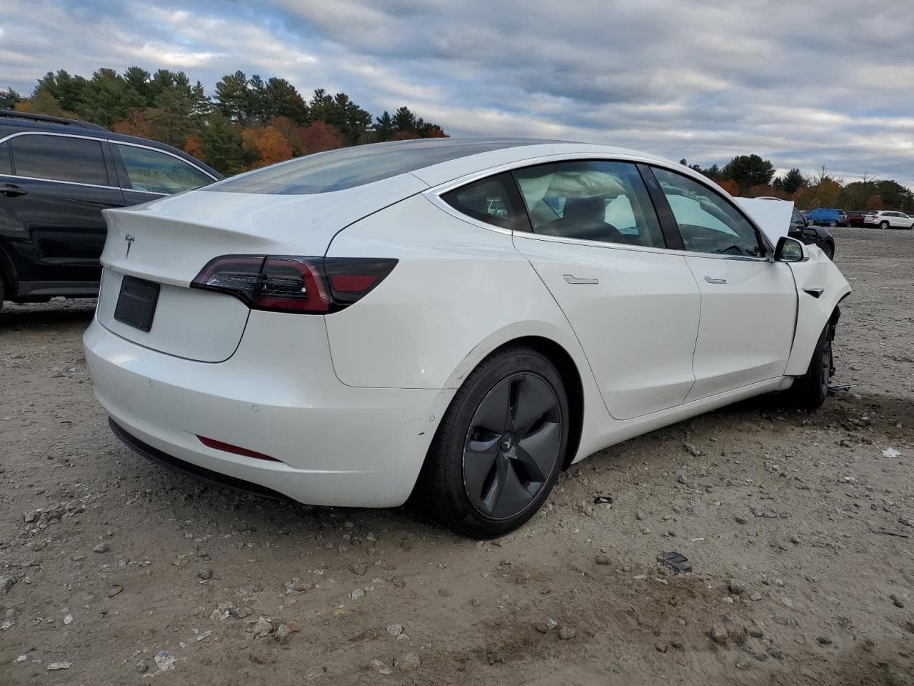2020 Tesla Model 3 - foto 3