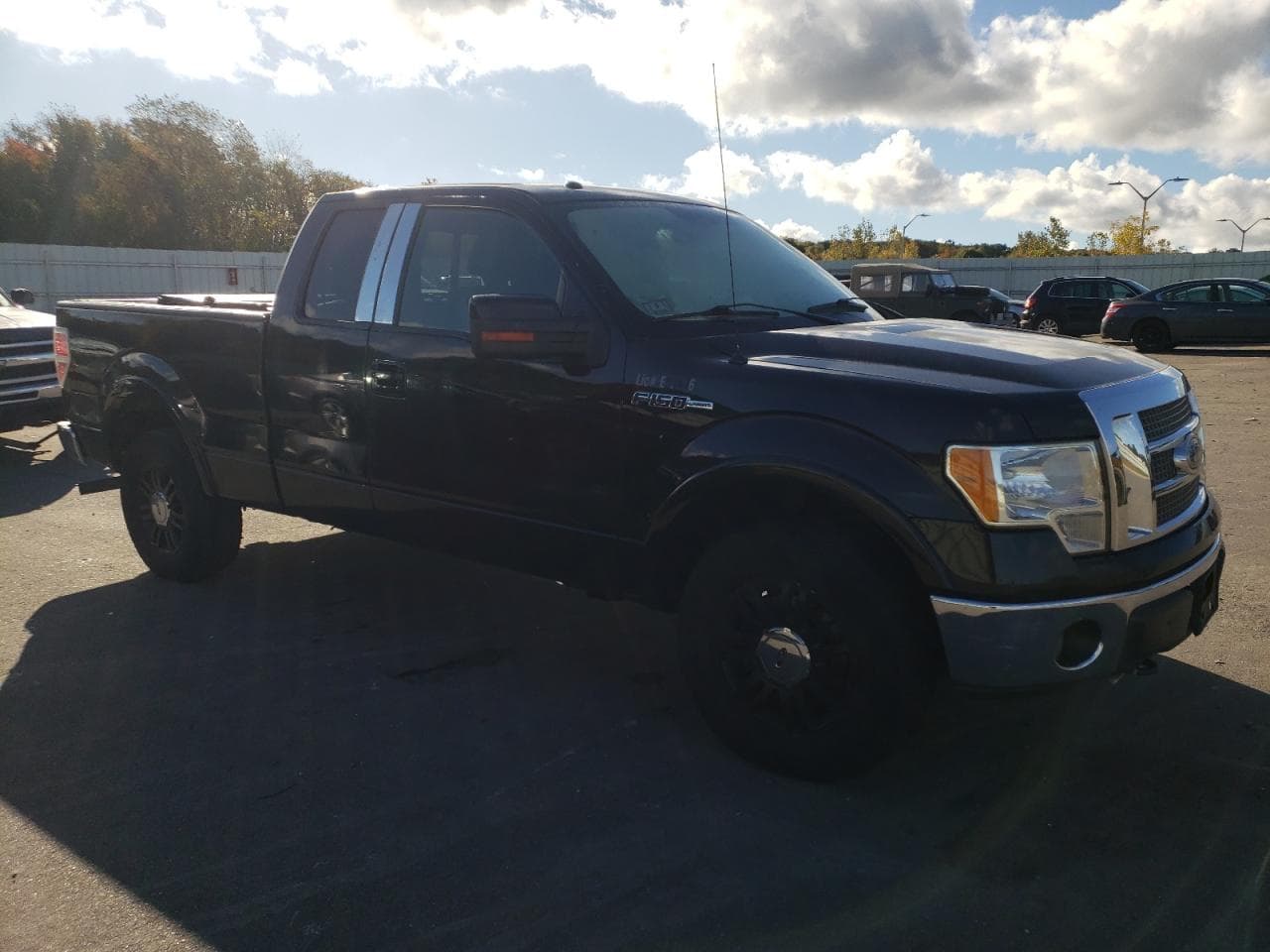 2010 Ford F-150 Fx4/Lariat/Xl/Xlt - foto 4