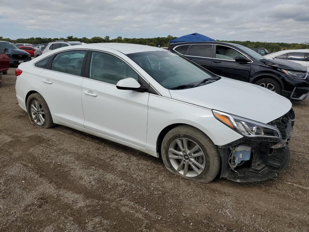 2015 Hyundai Sonata Se - foto 4