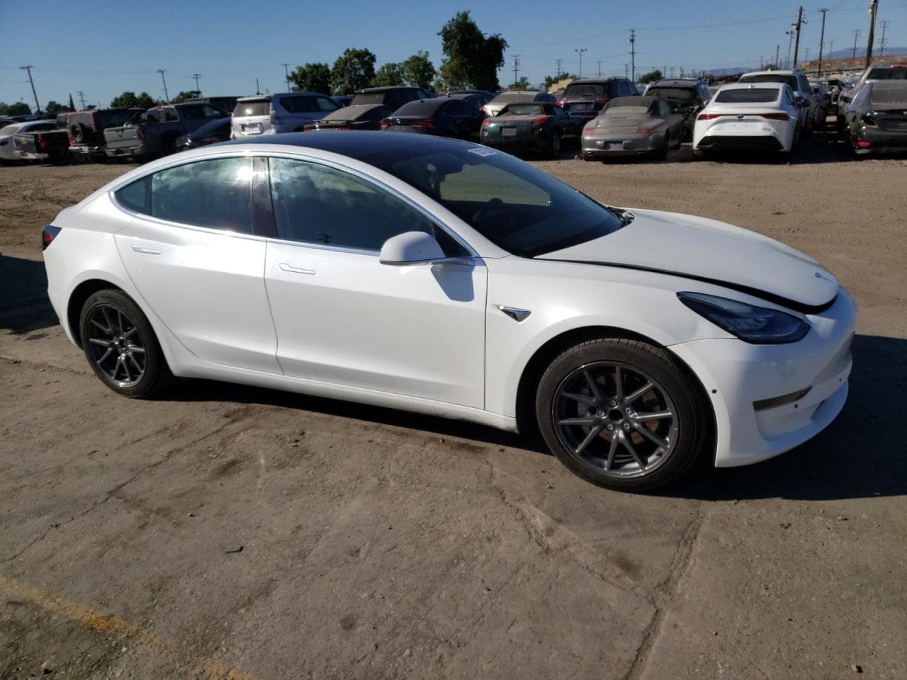 2020 Tesla Model 3 - foto 4